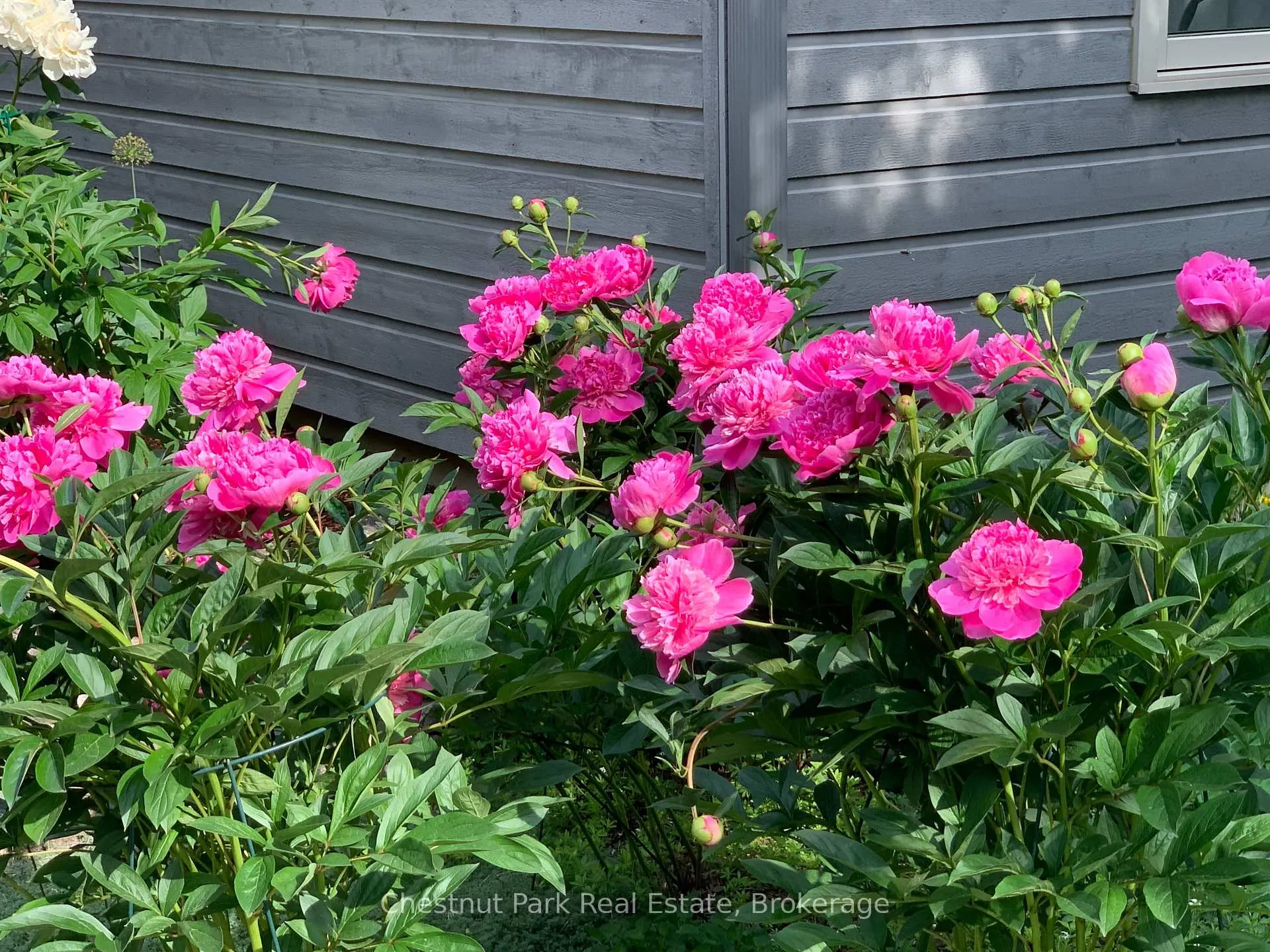 Photo 48 of 798251 3rd Line E, Mulmur, Rural Mulmur — HOMEH