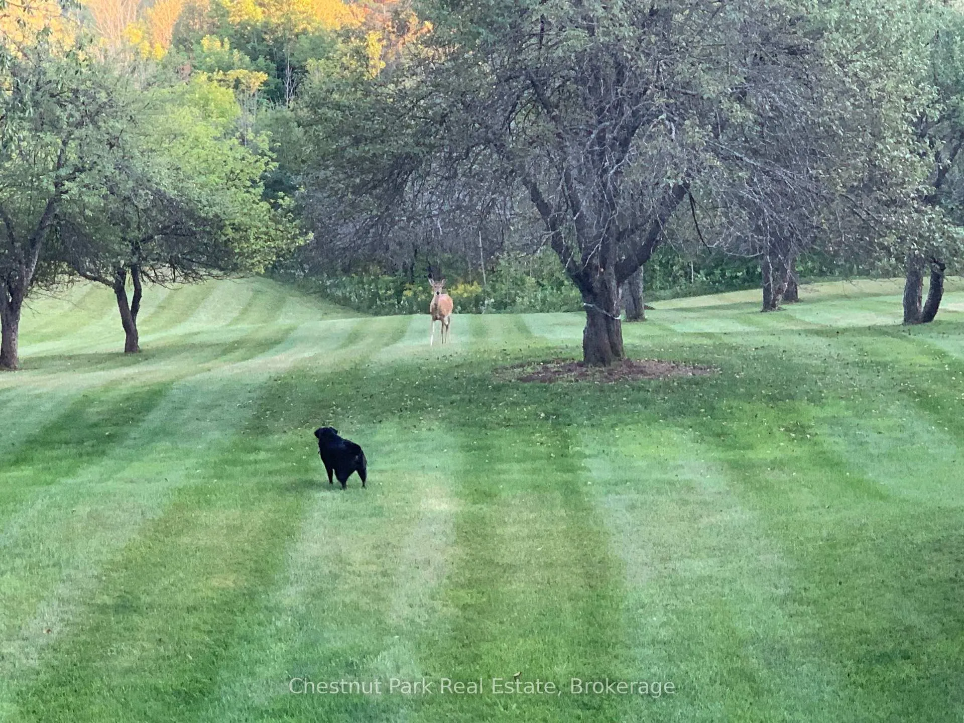 Photo 49 of 798251 3rd Line E, Mulmur, Rural Mulmur — HOMEH