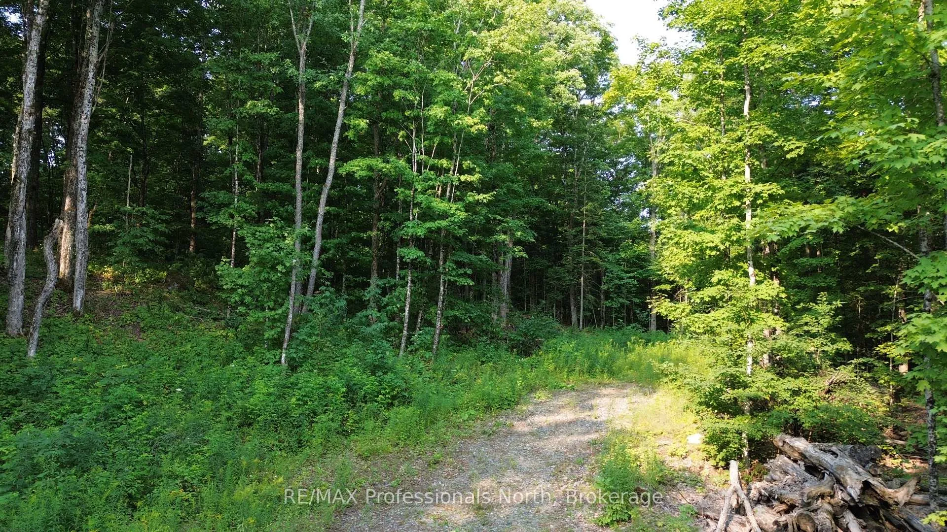 Front of 1037 Loon Lake Road