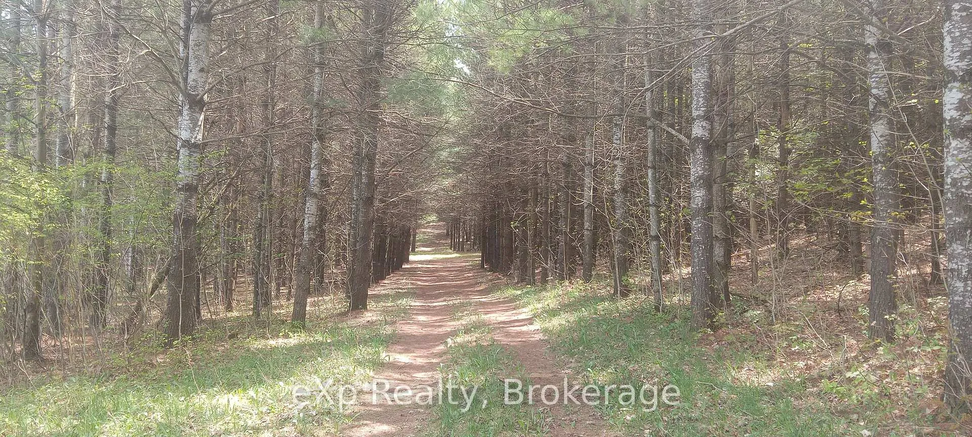 Photo 7 of 302350 Concession 2 Side Road, West Grey — HOMEH