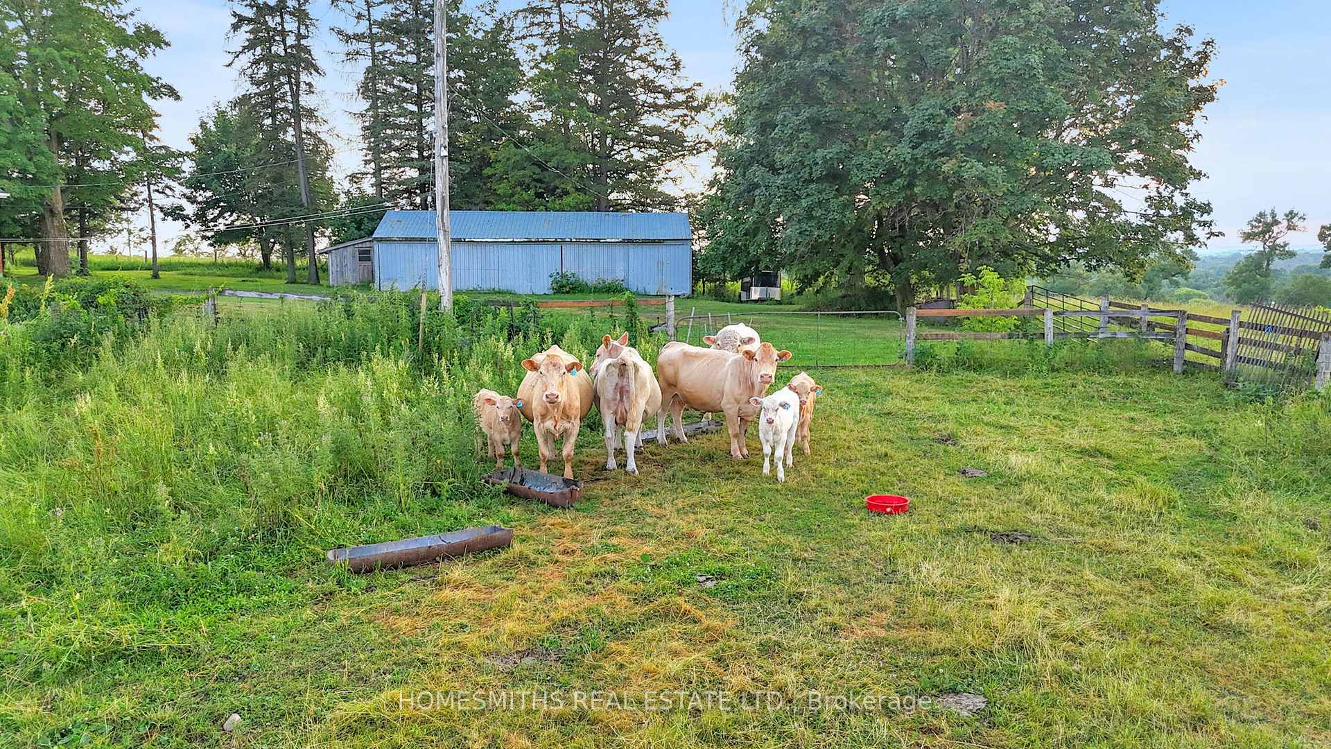 Photo 32 of 3682 Concession 6 Road, Clarington, Rural Clarington — HOMEH