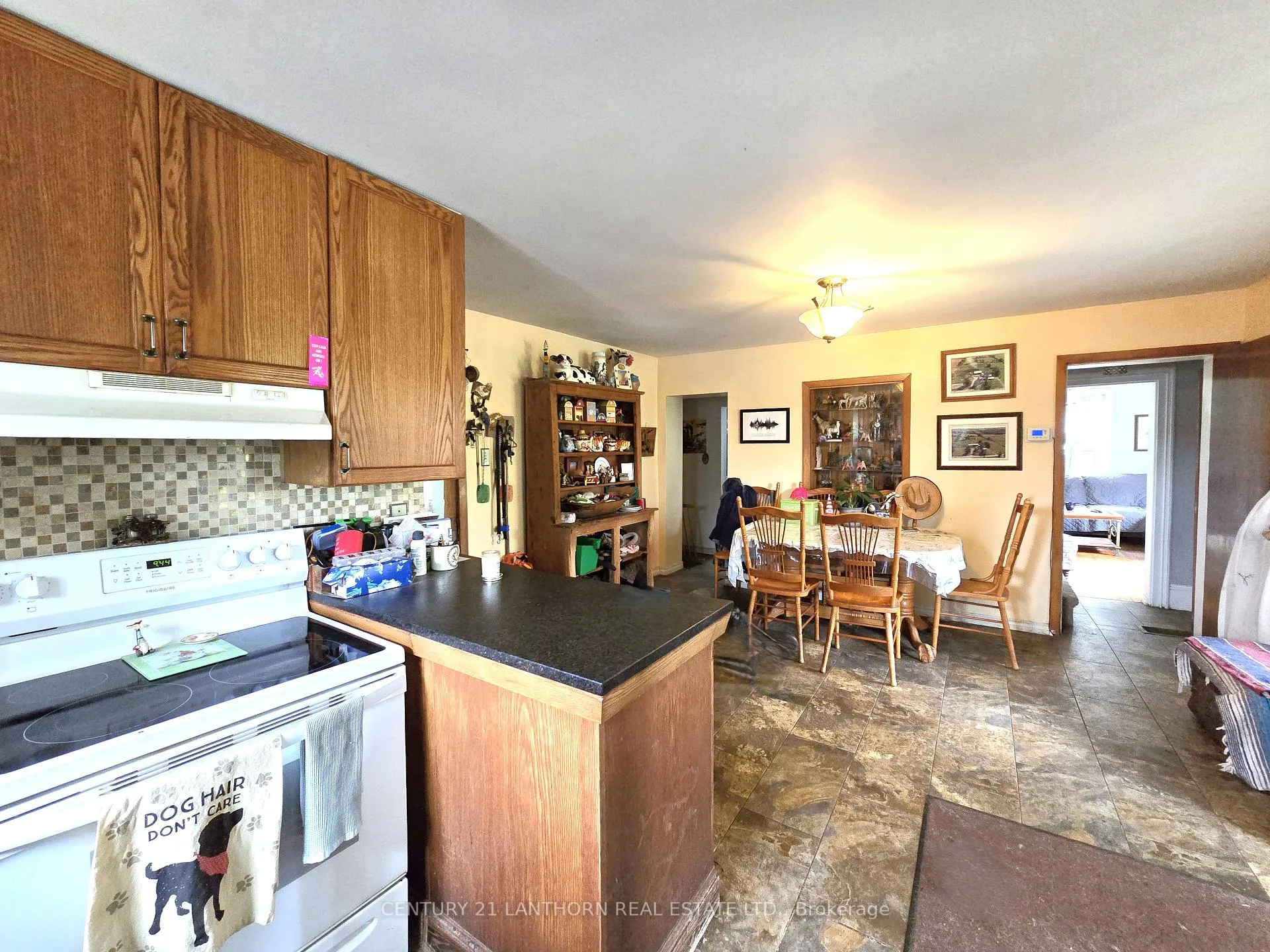 Photo 7 of 145 Mount Pleasant Road, Stirling-Rawdon, Rawdon Ward — HOMEH