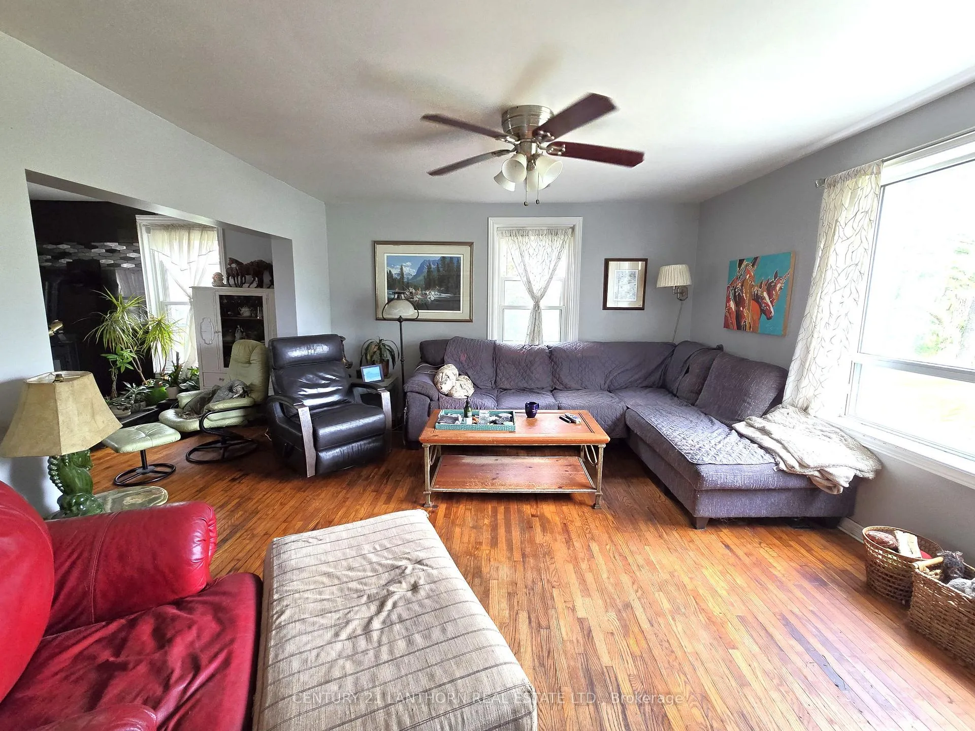 Photo 10 of 145 Mount Pleasant Road, Stirling-Rawdon, Rawdon Ward — HOMEH