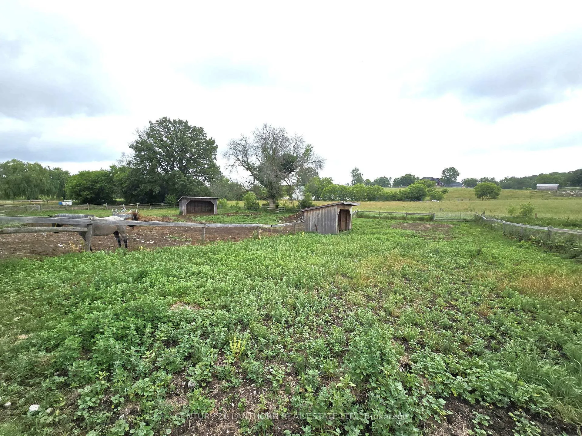 Photo 25 of 145 Mount Pleasant Road, Stirling-Rawdon, Rawdon Ward — HOMEH