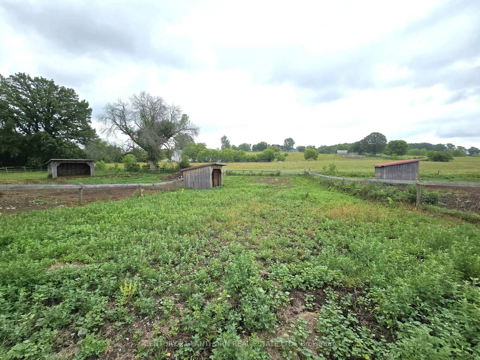 Photo 27 of 145 Mount Pleasant Road, Stirling-Rawdon, Rawdon Ward — HOMEH