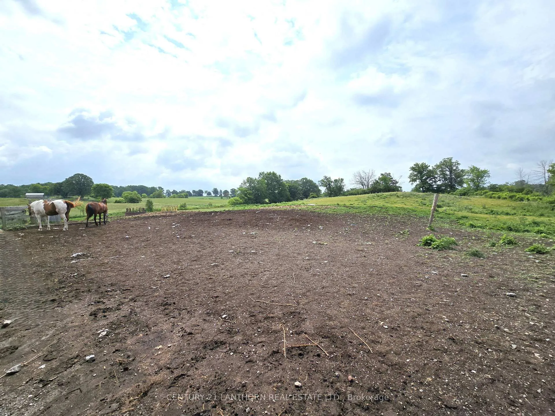 Photo 33 of 145 Mount Pleasant Road, Stirling-Rawdon, Rawdon Ward — HOMEH