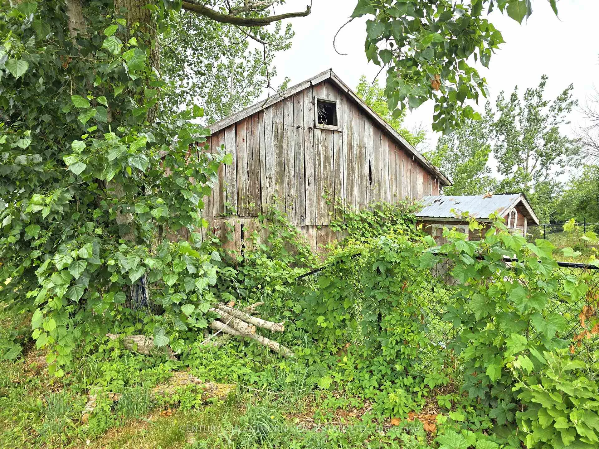 Photo 40 of 145 Mount Pleasant Road, Stirling-Rawdon, Rawdon Ward — HOMEH