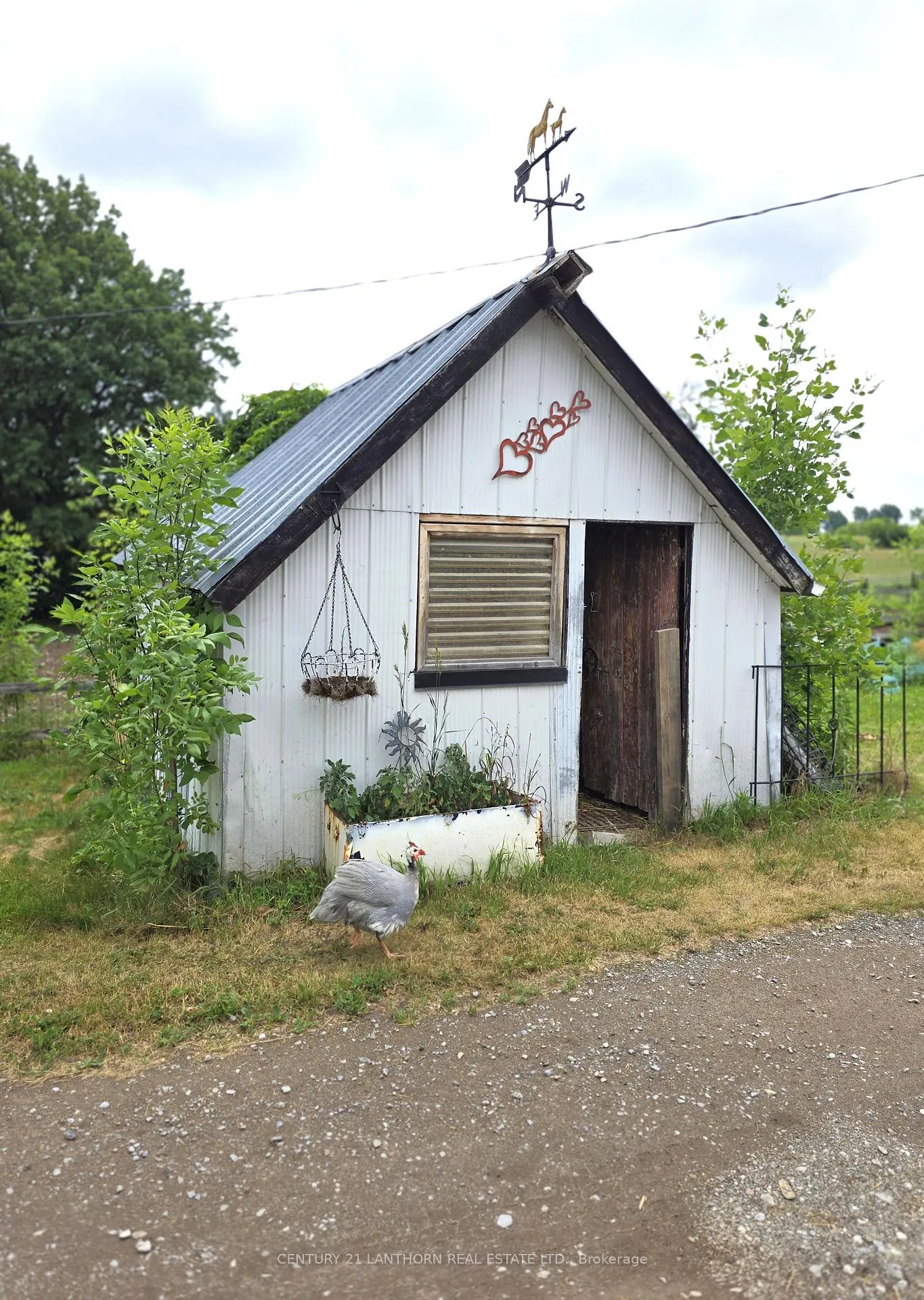 Photo 43 of 145 Mount Pleasant Road, Stirling-Rawdon, Rawdon Ward — HOMEH