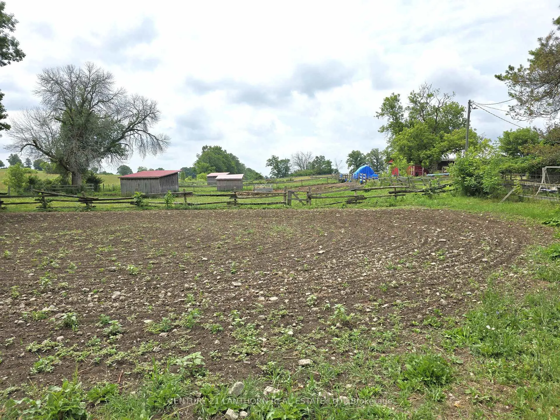 Photo 45 of 145 Mount Pleasant Road, Stirling-Rawdon, Rawdon Ward — HOMEH