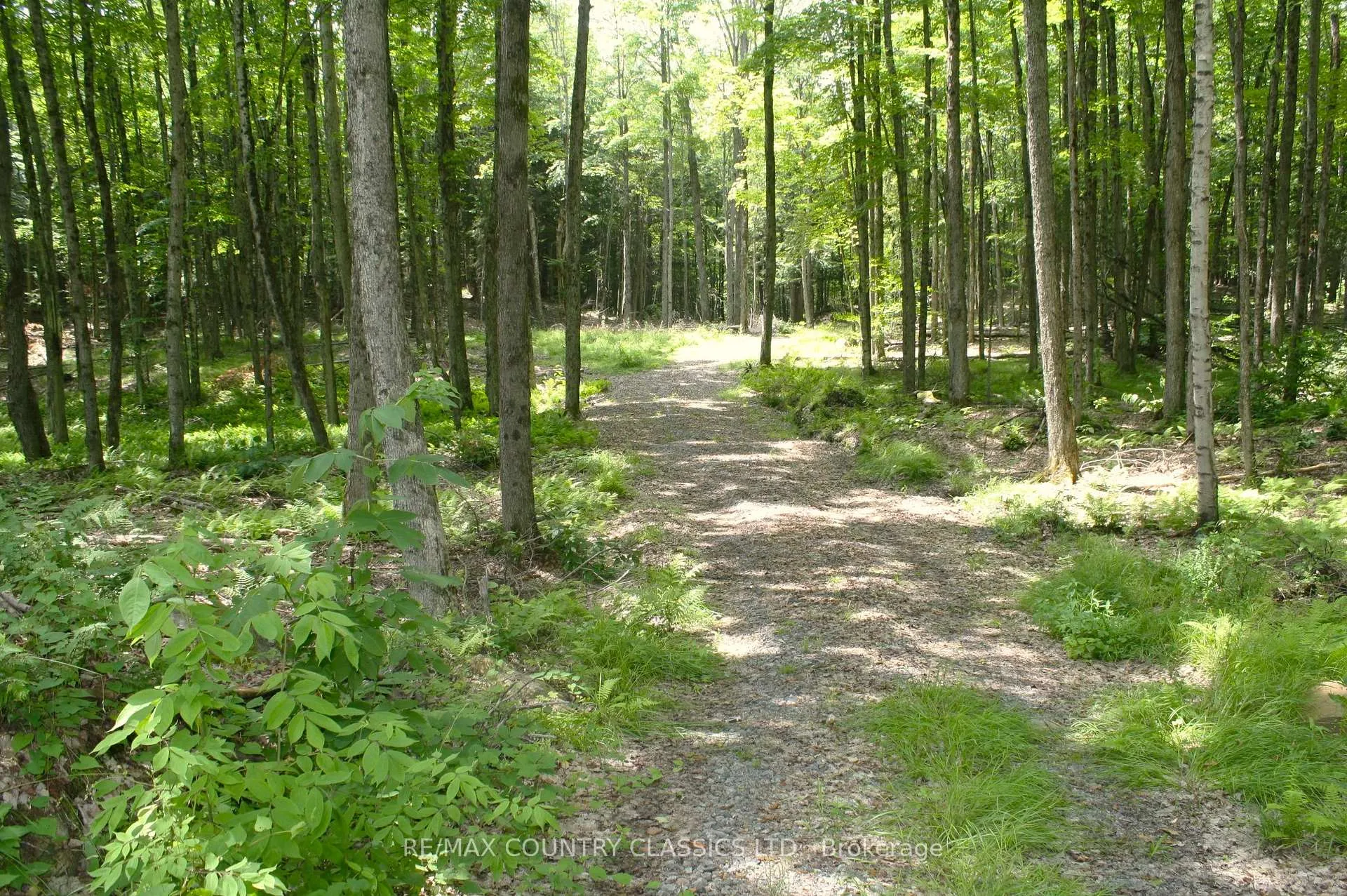 Photo 2 of 730 Airport Road, Hastings Highlands, Herschel Ward — HOMEH