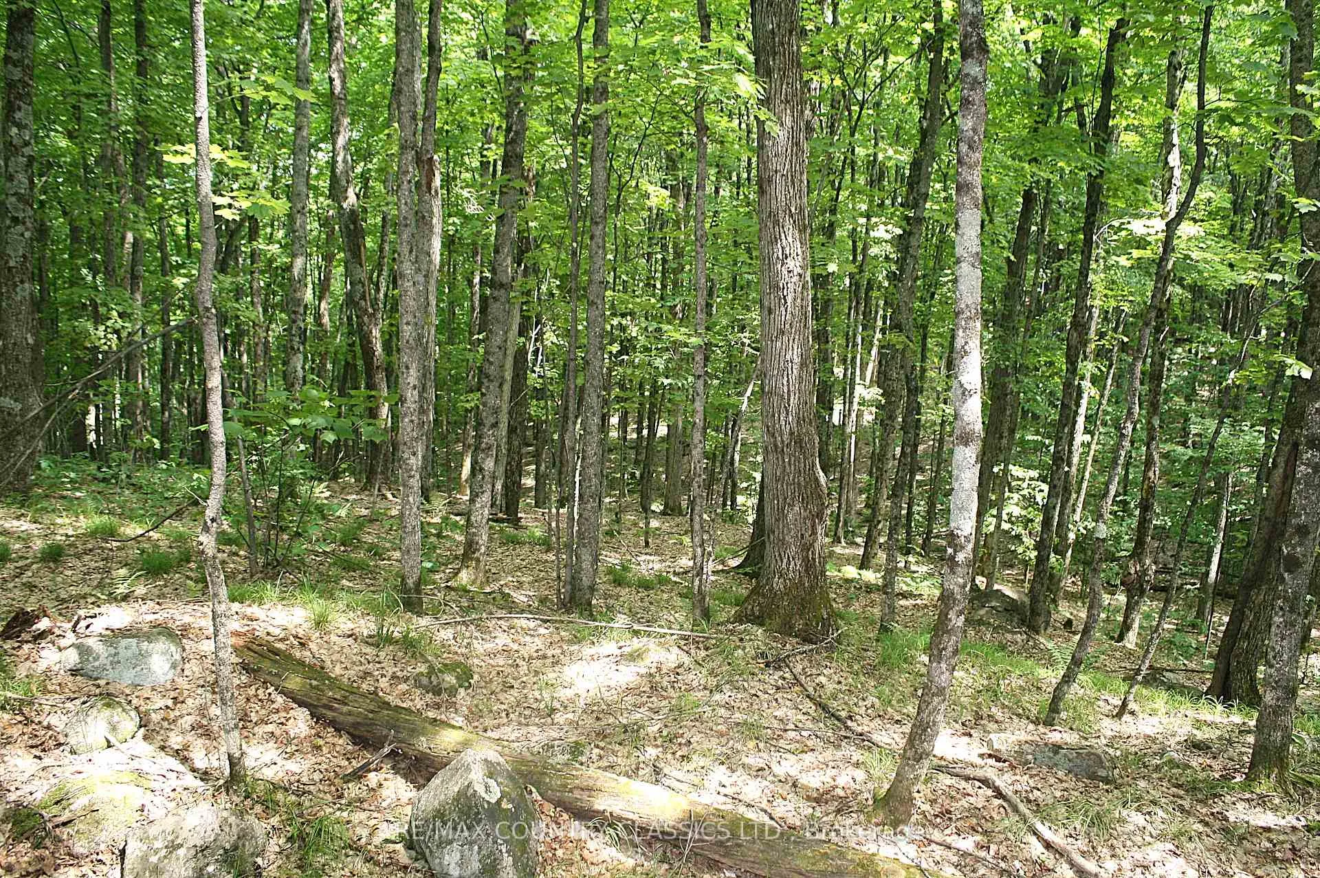 Photo 4 of 730 Airport Road, Hastings Highlands, Herschel Ward — HOMEH