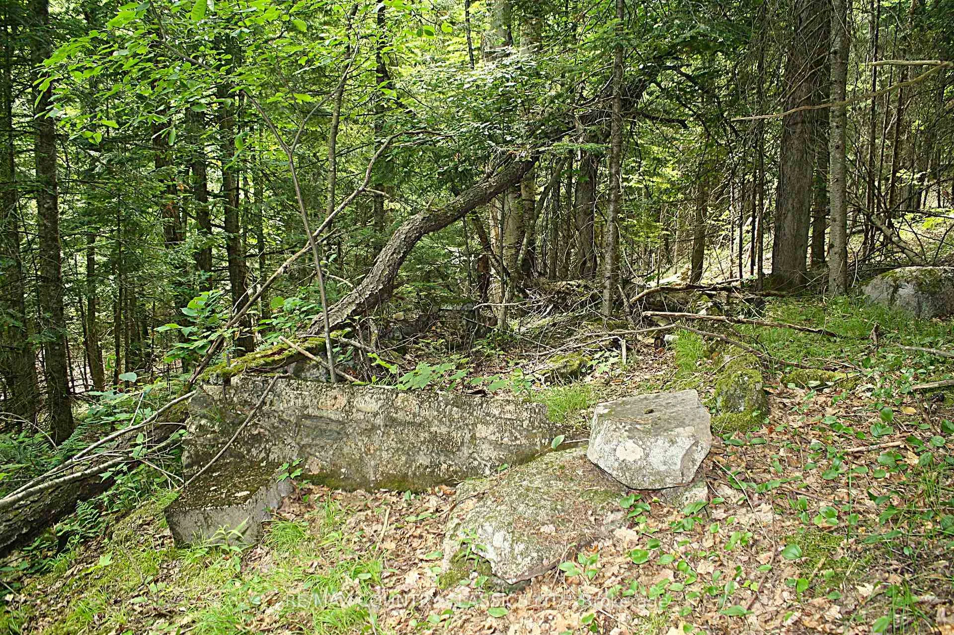 Photo 5 of 730 Airport Road, Hastings Highlands, Herschel Ward — HOMEH
