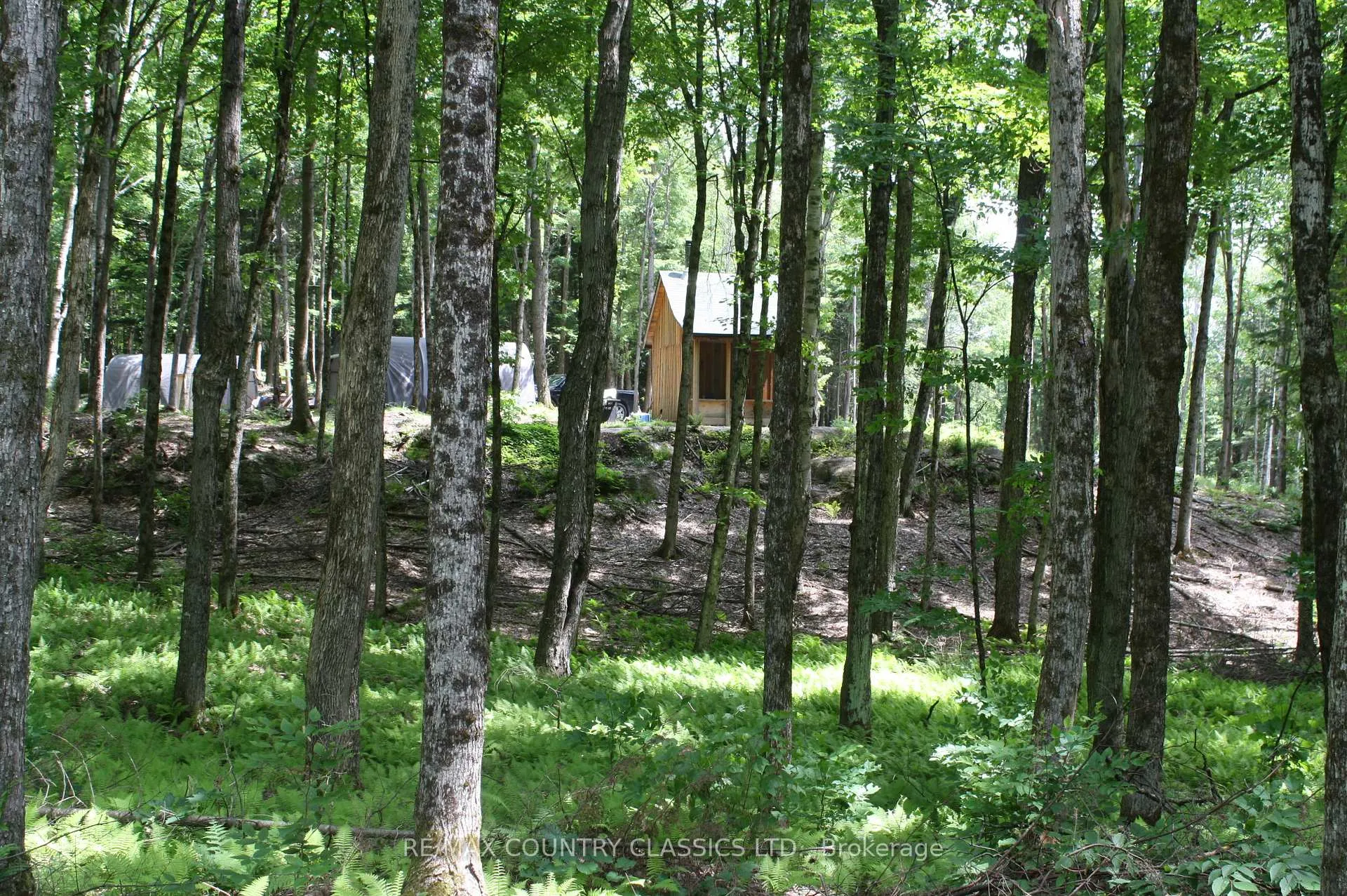 Photo 7 of 730 Airport Road, Hastings Highlands, Herschel Ward — HOMEH