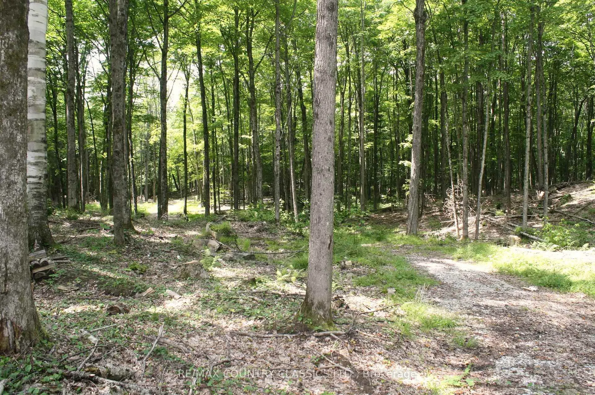 Photo 10 of 730 Airport Road, Hastings Highlands, Herschel Ward — HOMEH