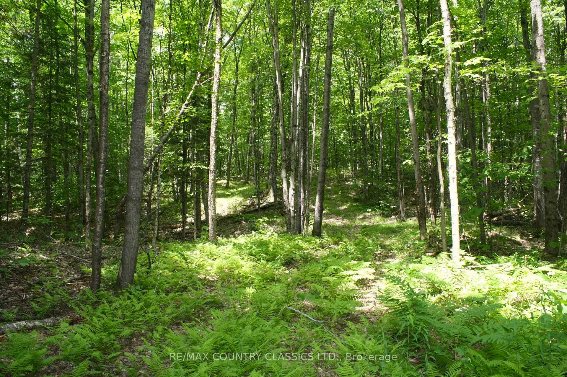 Photo 11 of 730 Airport Road, Hastings Highlands, Herschel Ward — HOMEH
