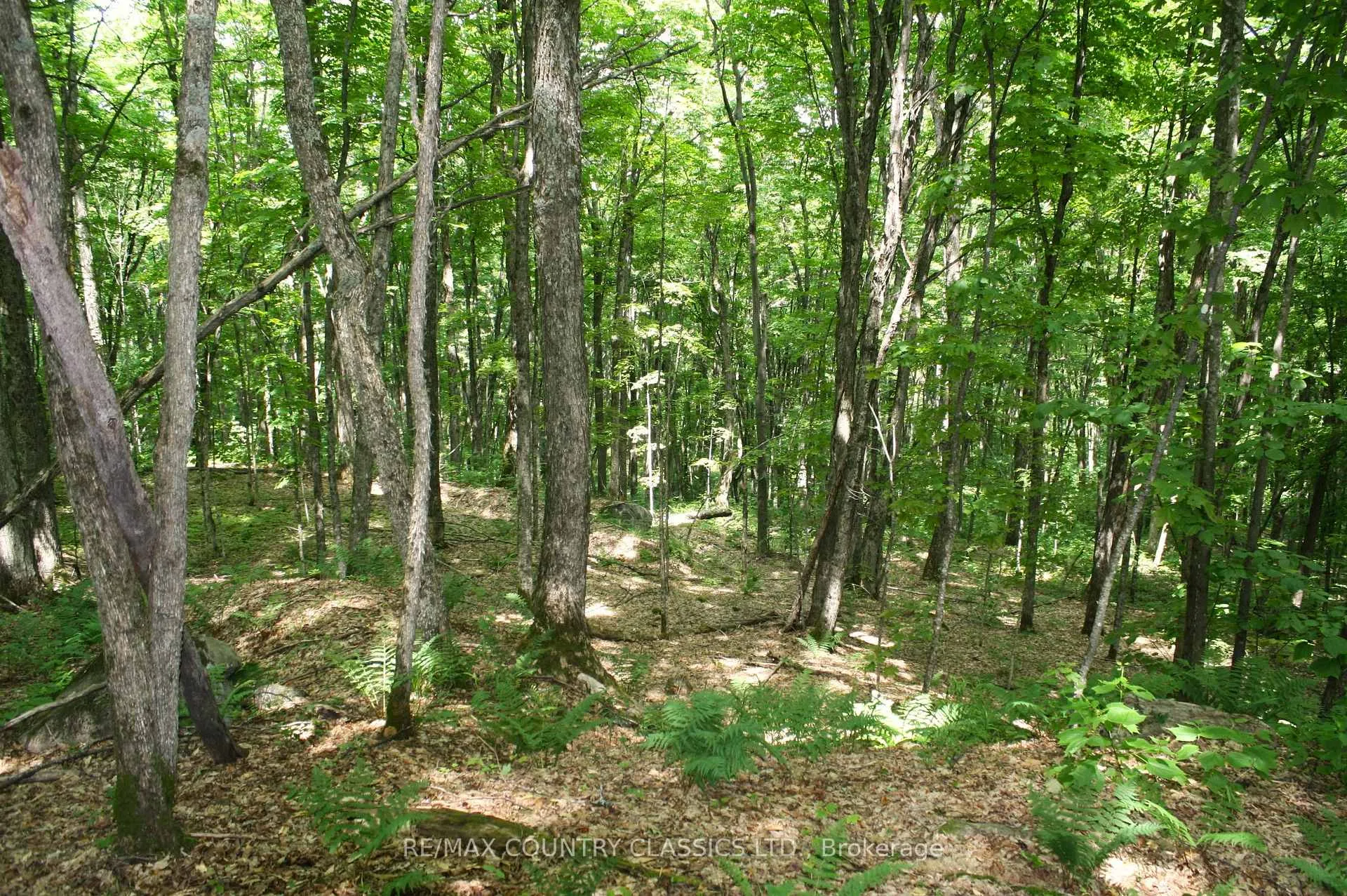 Photo 15 of 730 Airport Road, Hastings Highlands, Herschel Ward — HOMEH