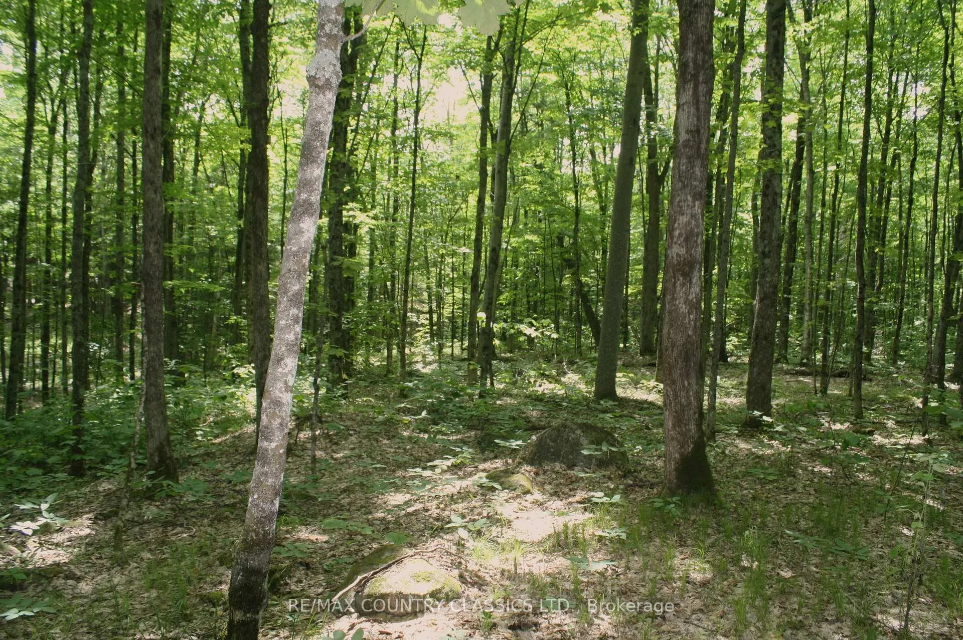 Photo 16 of 730 Airport Road, Hastings Highlands, Herschel Ward — HOMEH