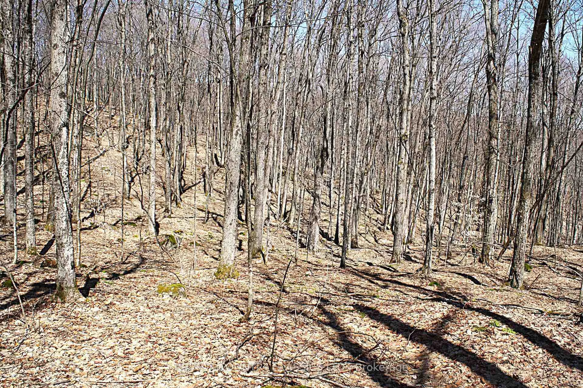 Photo 18 of 730 Airport Road, Hastings Highlands, Herschel Ward — HOMEH