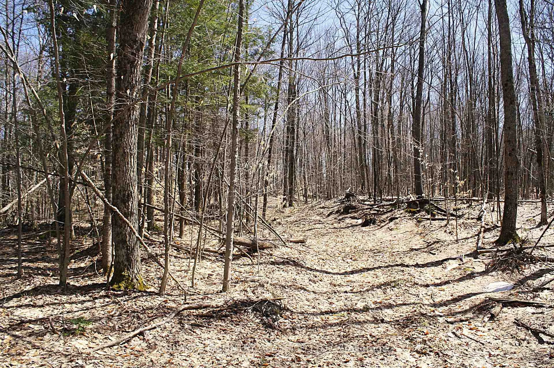 Photo 19 of 730 Airport Road, Hastings Highlands, Herschel Ward — HOMEH