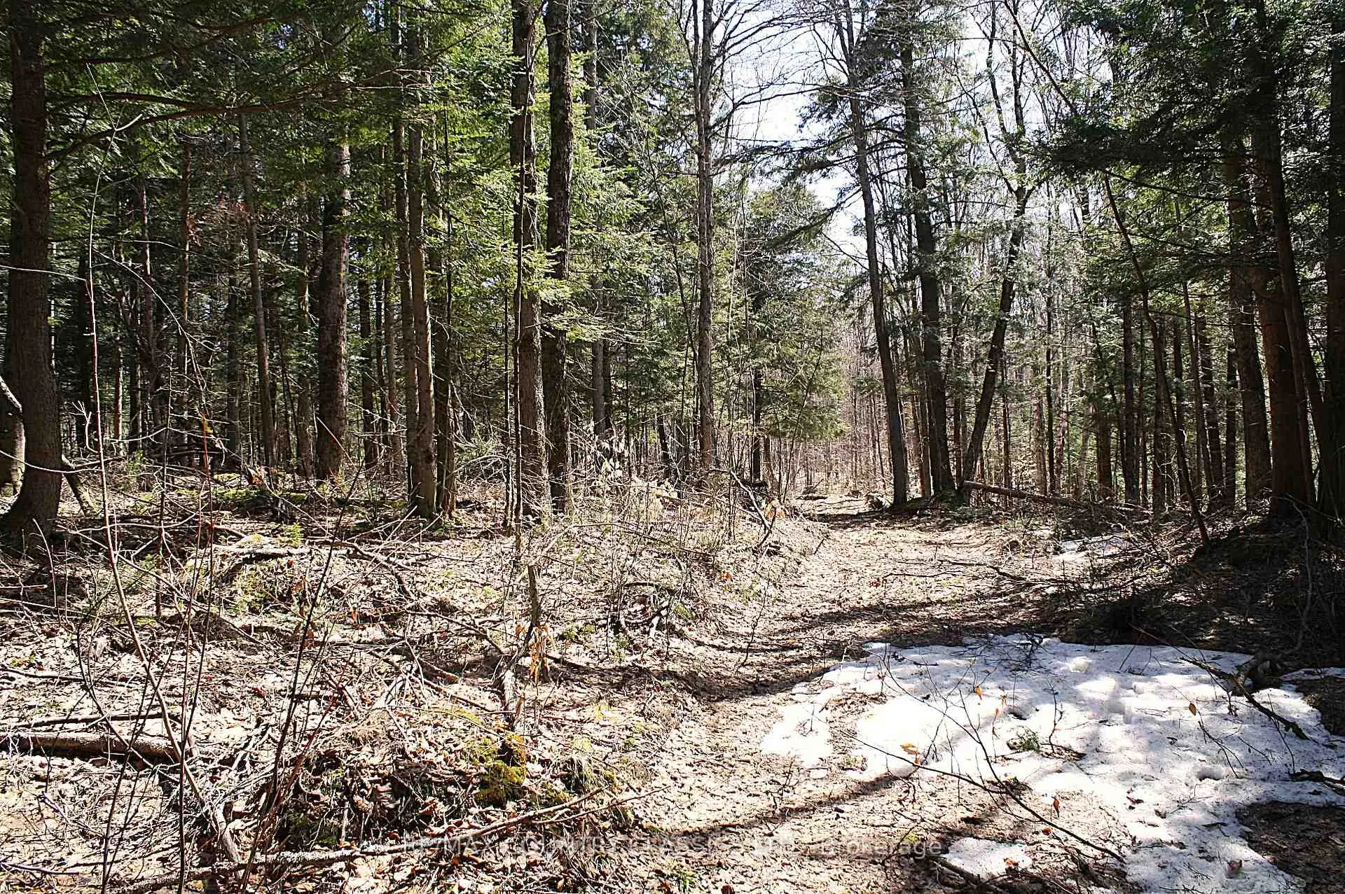 Photo 20 of 730 Airport Road, Hastings Highlands, Herschel Ward — HOMEH
