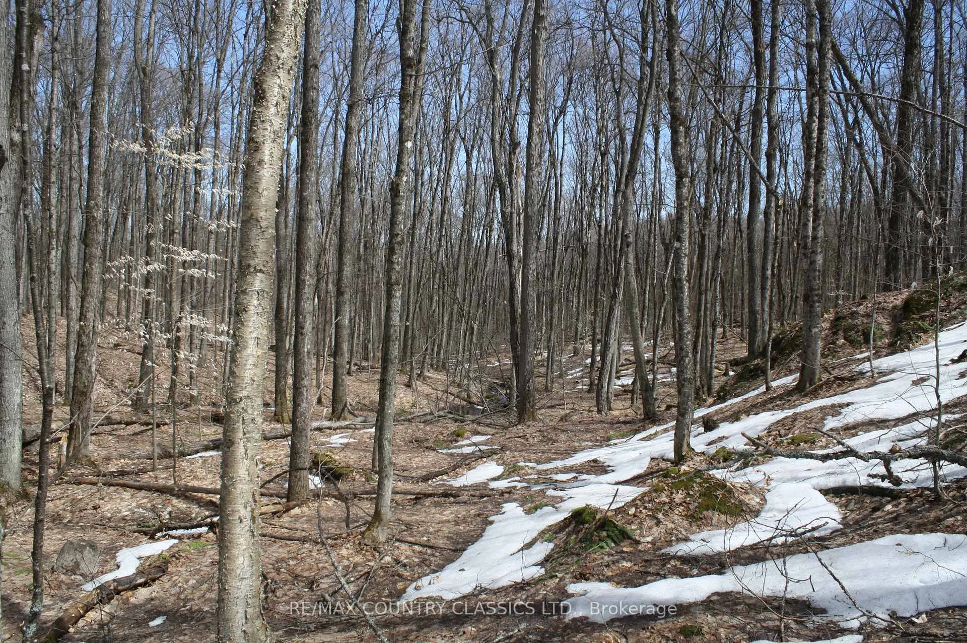 Photo 24 of 730 Airport Road, Hastings Highlands, Herschel Ward — HOMEH