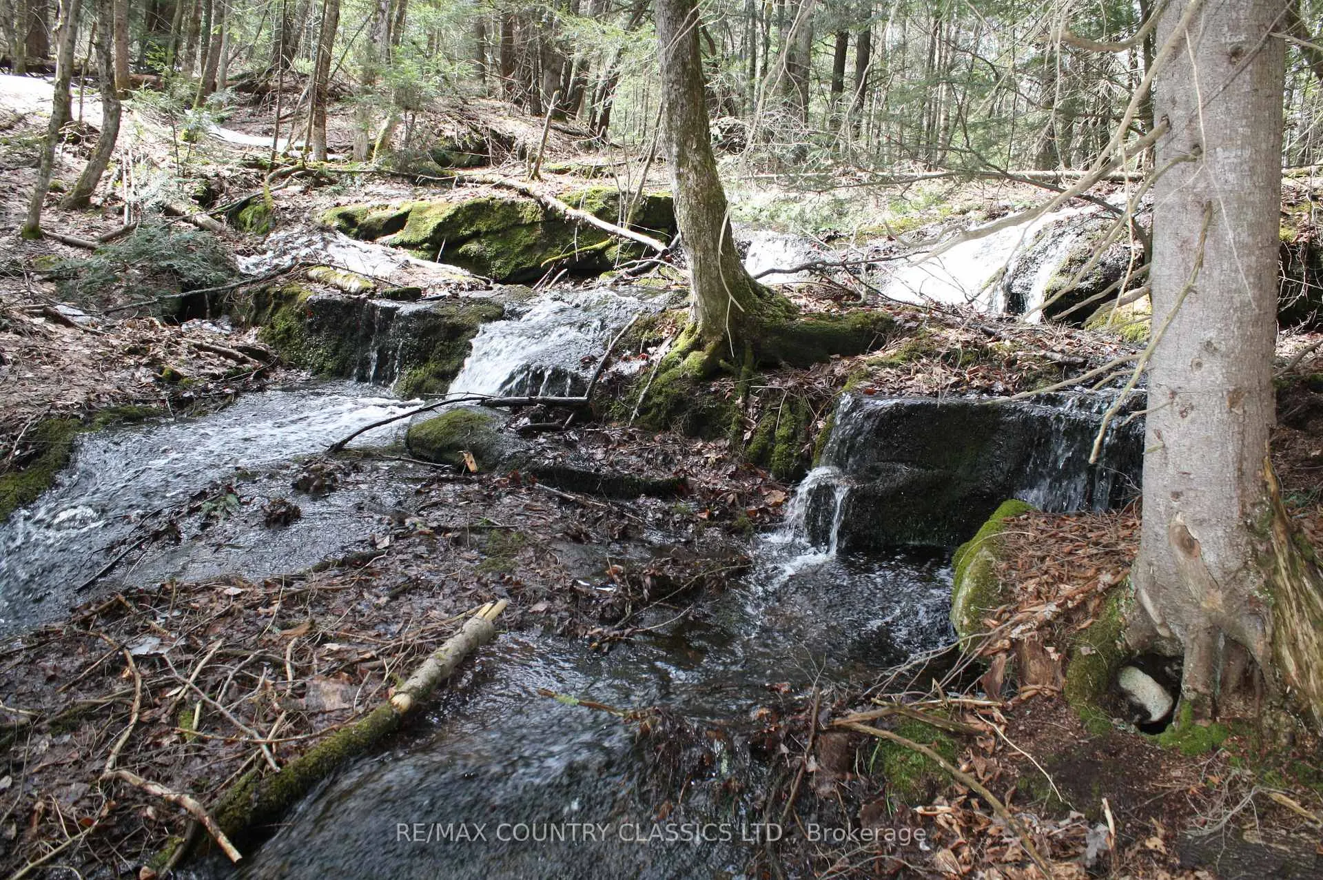 Photo 28 of 730 Airport Road, Hastings Highlands, Herschel Ward — HOMEH
