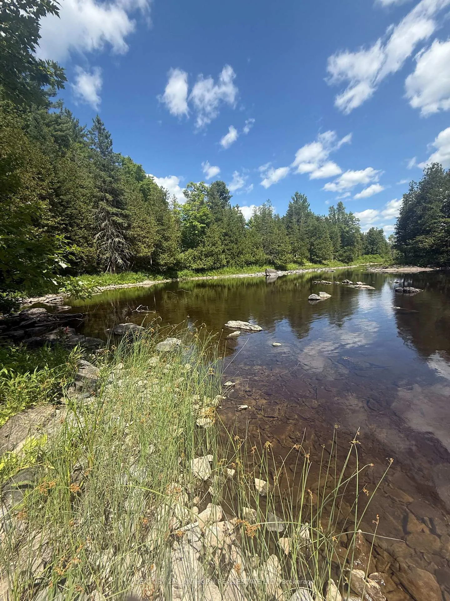 Photo 8 of Storms Road, Stirling-Rawdon, Rawdon Ward — HOMEH