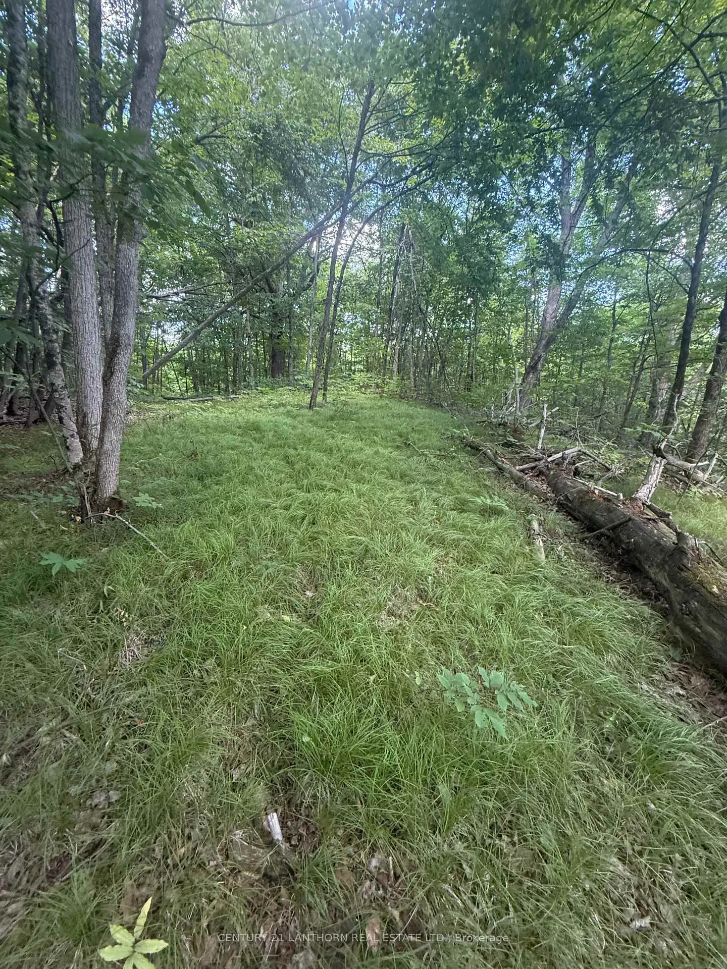 Photo 10 of Storms Road, Stirling-Rawdon, Rawdon Ward — HOMEH