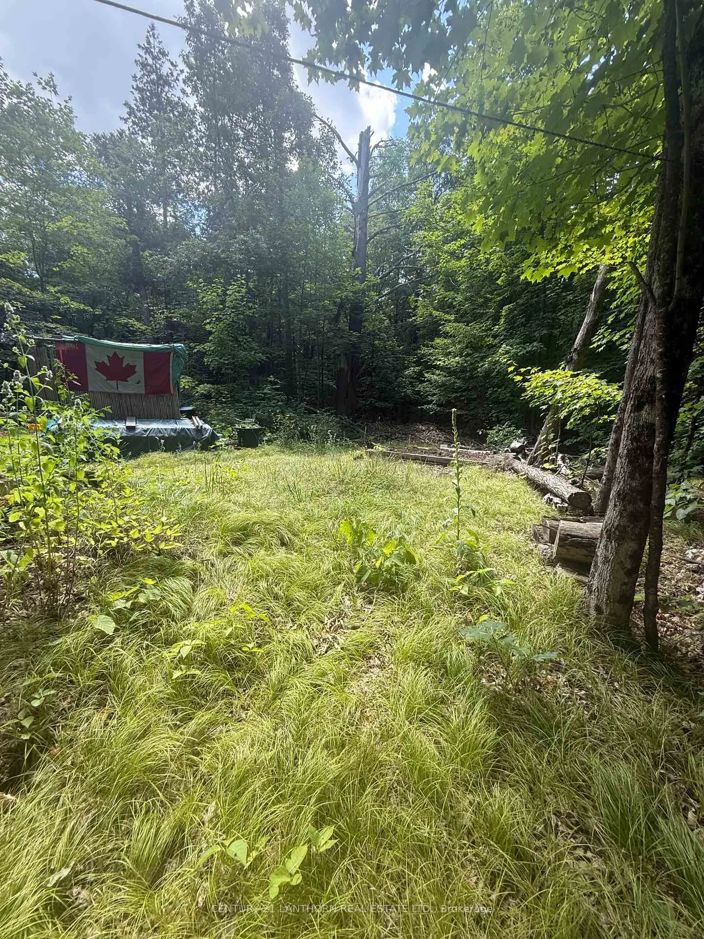 Photo 16 of Storms Road, Stirling-Rawdon, Rawdon Ward — HOMEH