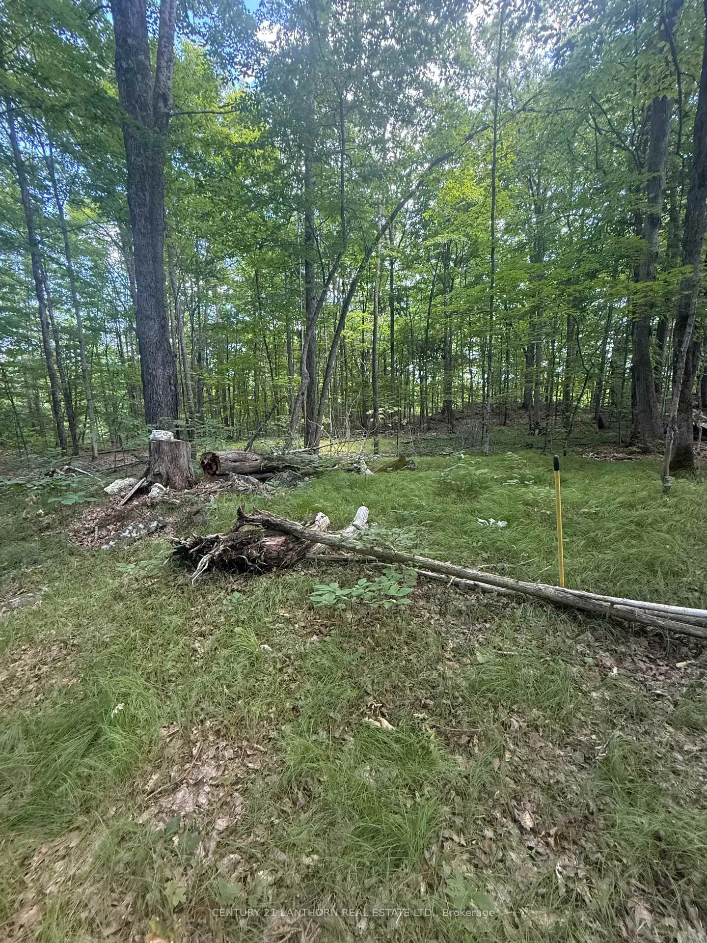 Photo 17 of Storms Road, Stirling-Rawdon, Rawdon Ward — HOMEH