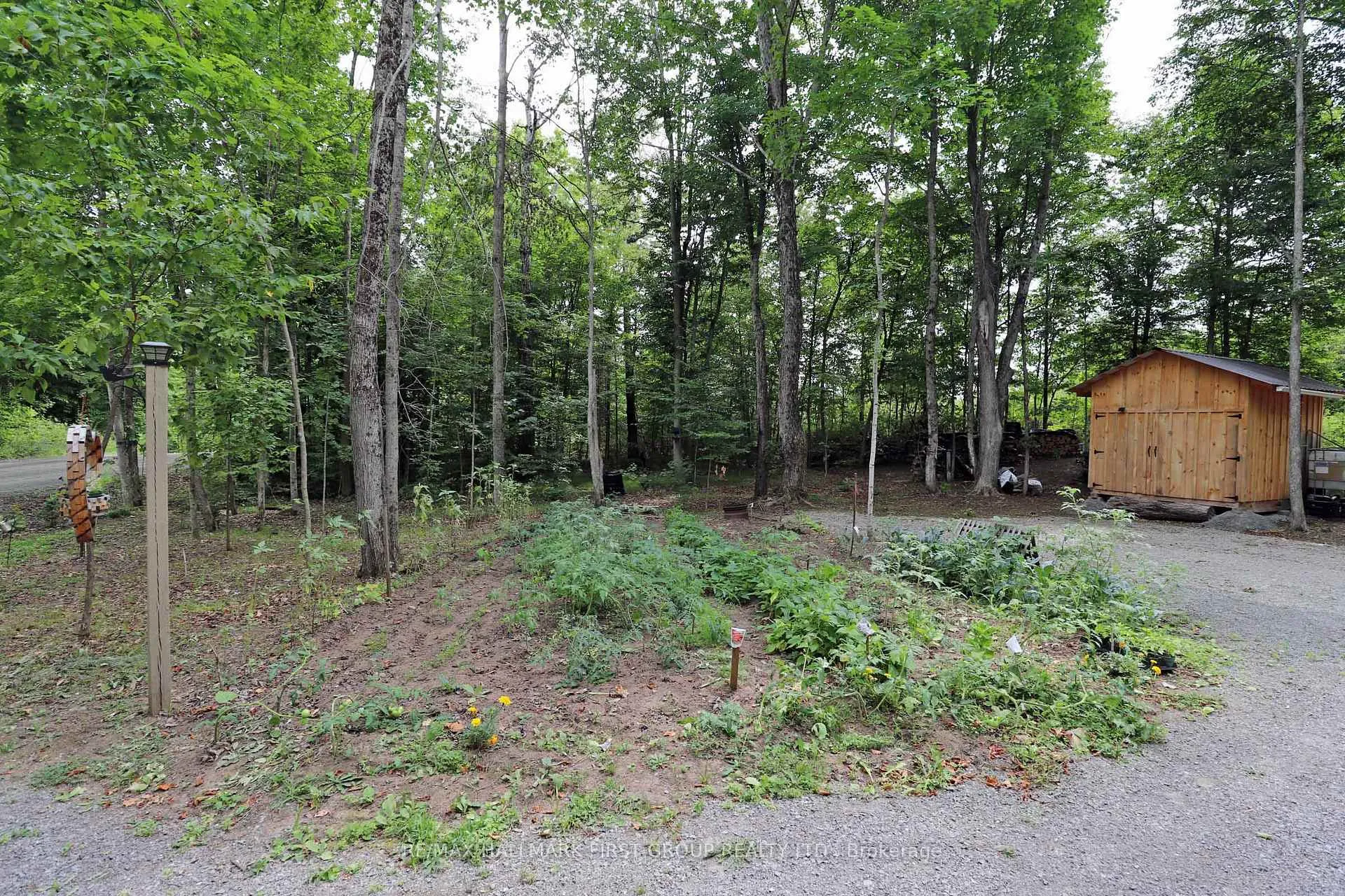 Photo 5 of 533 Black River Road N, Tweed, Elzevir (Twp) — HOMEH