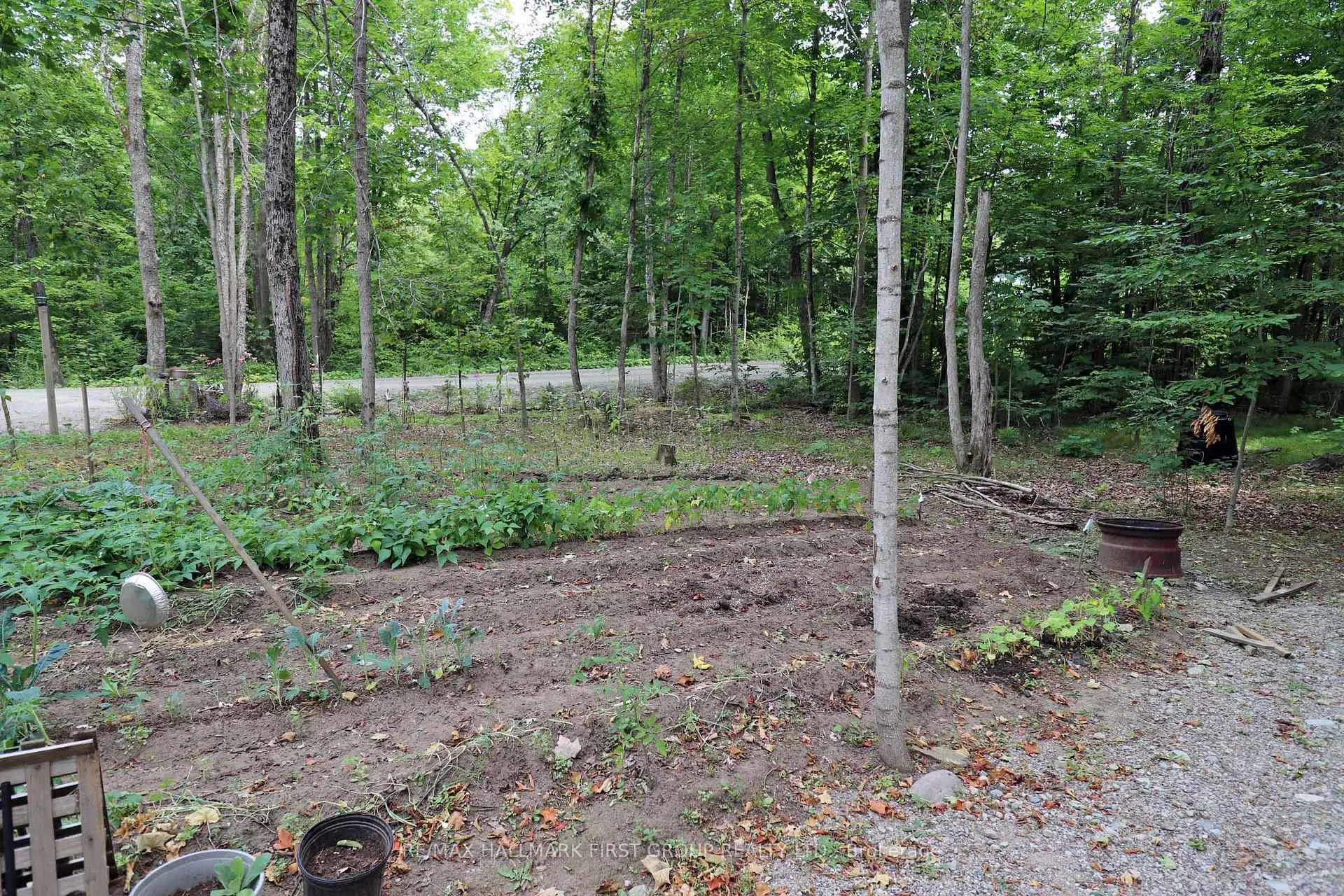 Photo 6 of 533 Black River Road N, Tweed, Elzevir (Twp) — HOMEH