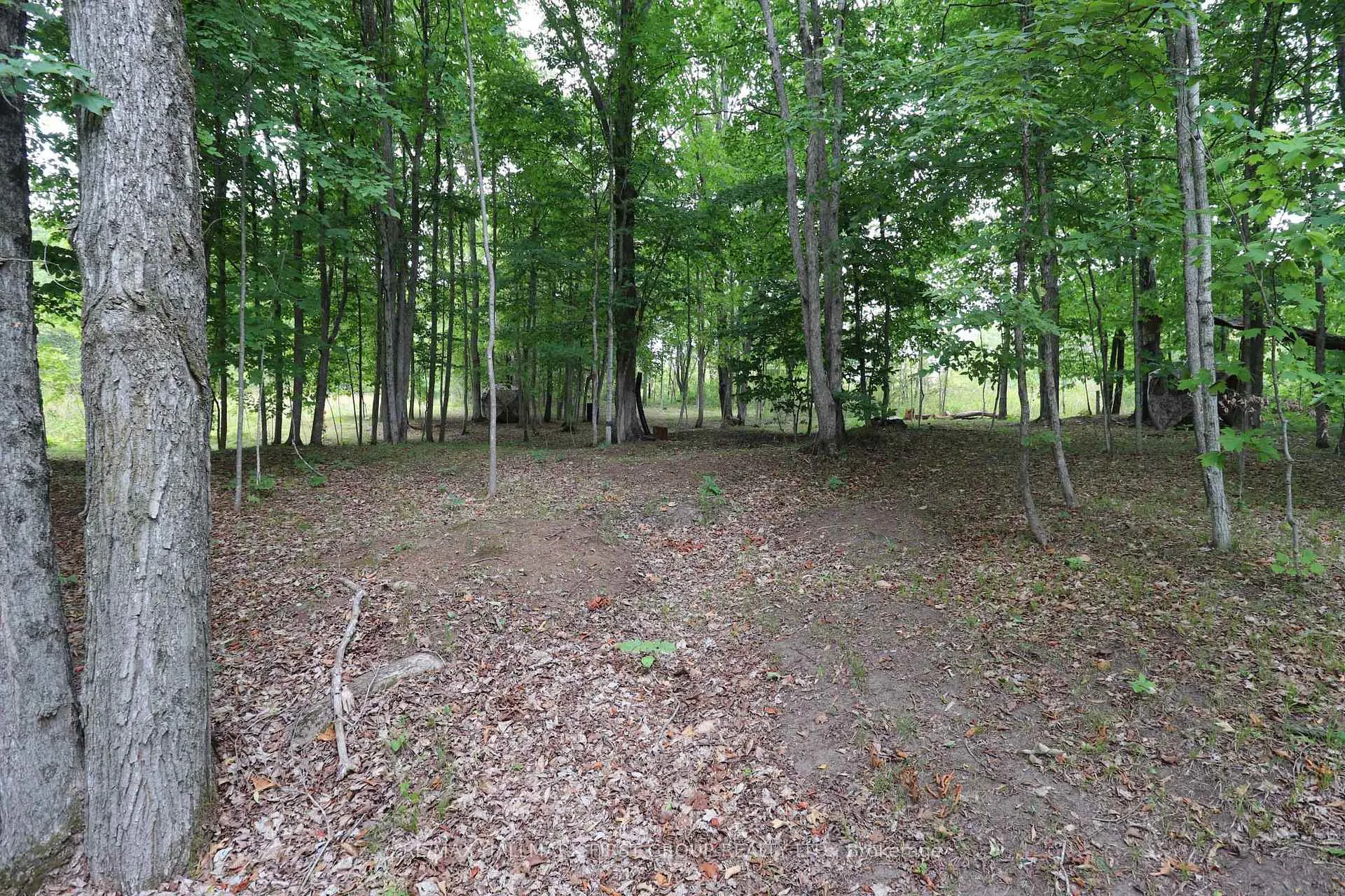 Photo 24 of 533 Black River Road N, Tweed, Elzevir (Twp) — HOMEH