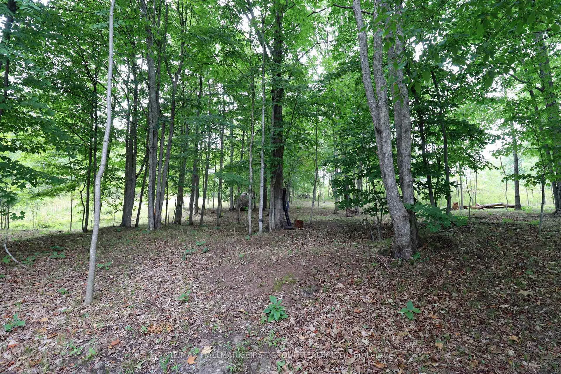 Photo 25 of 533 Black River Road N, Tweed, Elzevir (Twp) — HOMEH