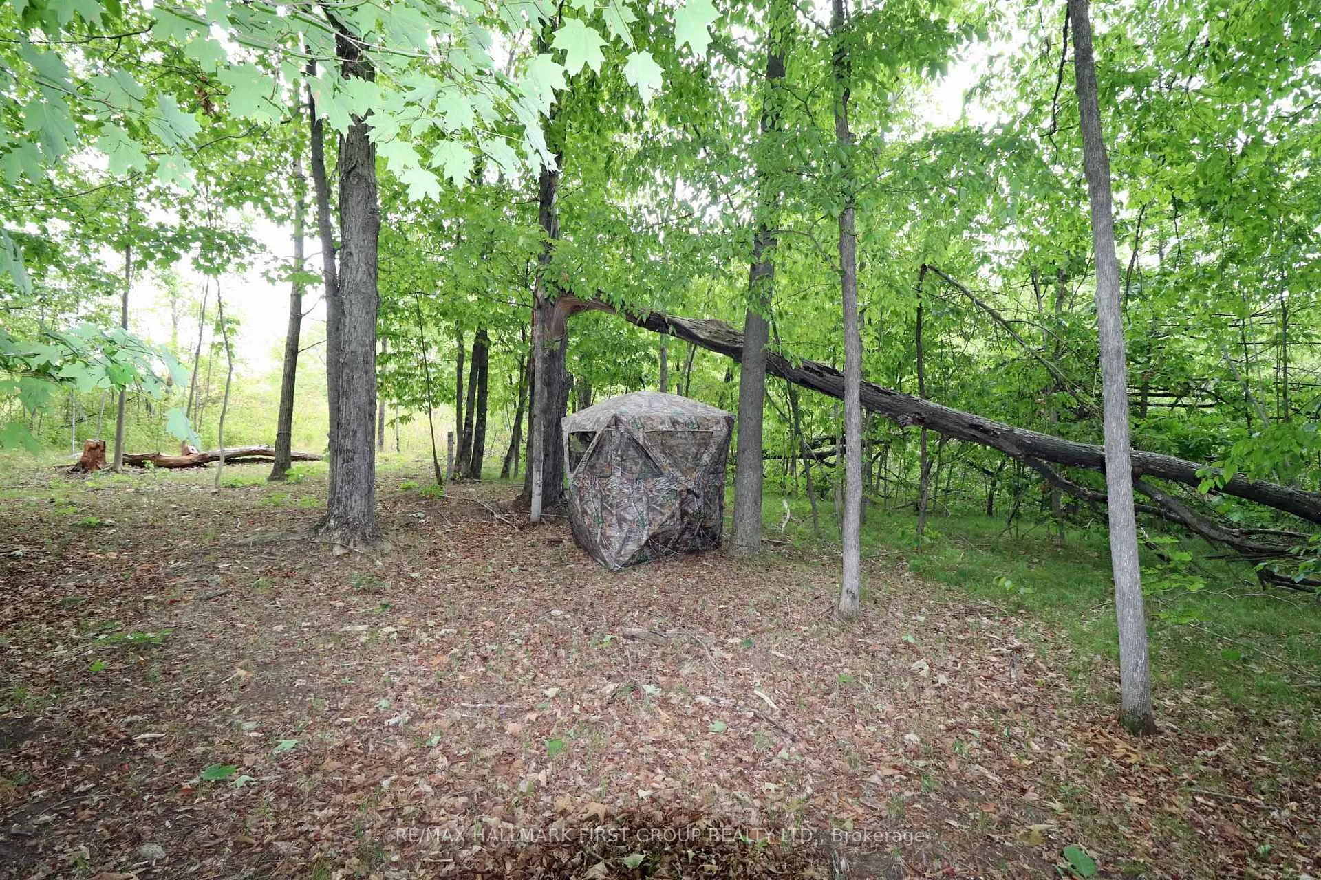 Photo 26 of 533 Black River Road N, Tweed, Elzevir (Twp) — HOMEH
