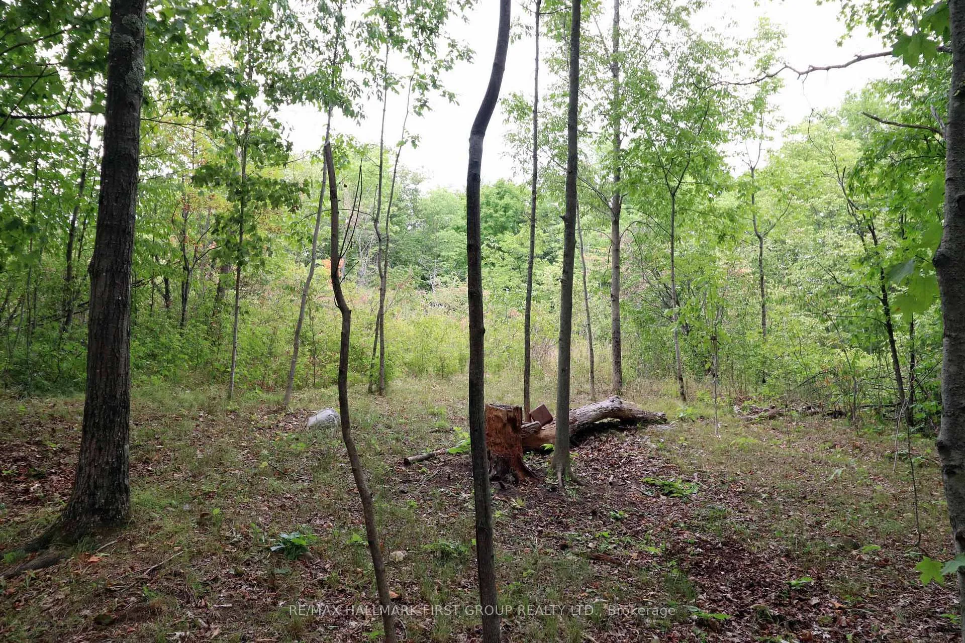 Photo 29 of 533 Black River Road N, Tweed, Elzevir (Twp) — HOMEH