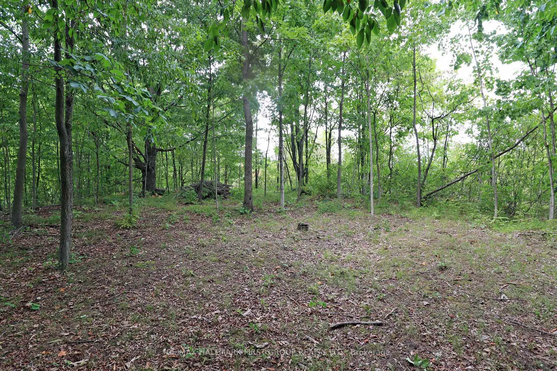 Photo 30 of 533 Black River Road N, Tweed, Elzevir (Twp) — HOMEH