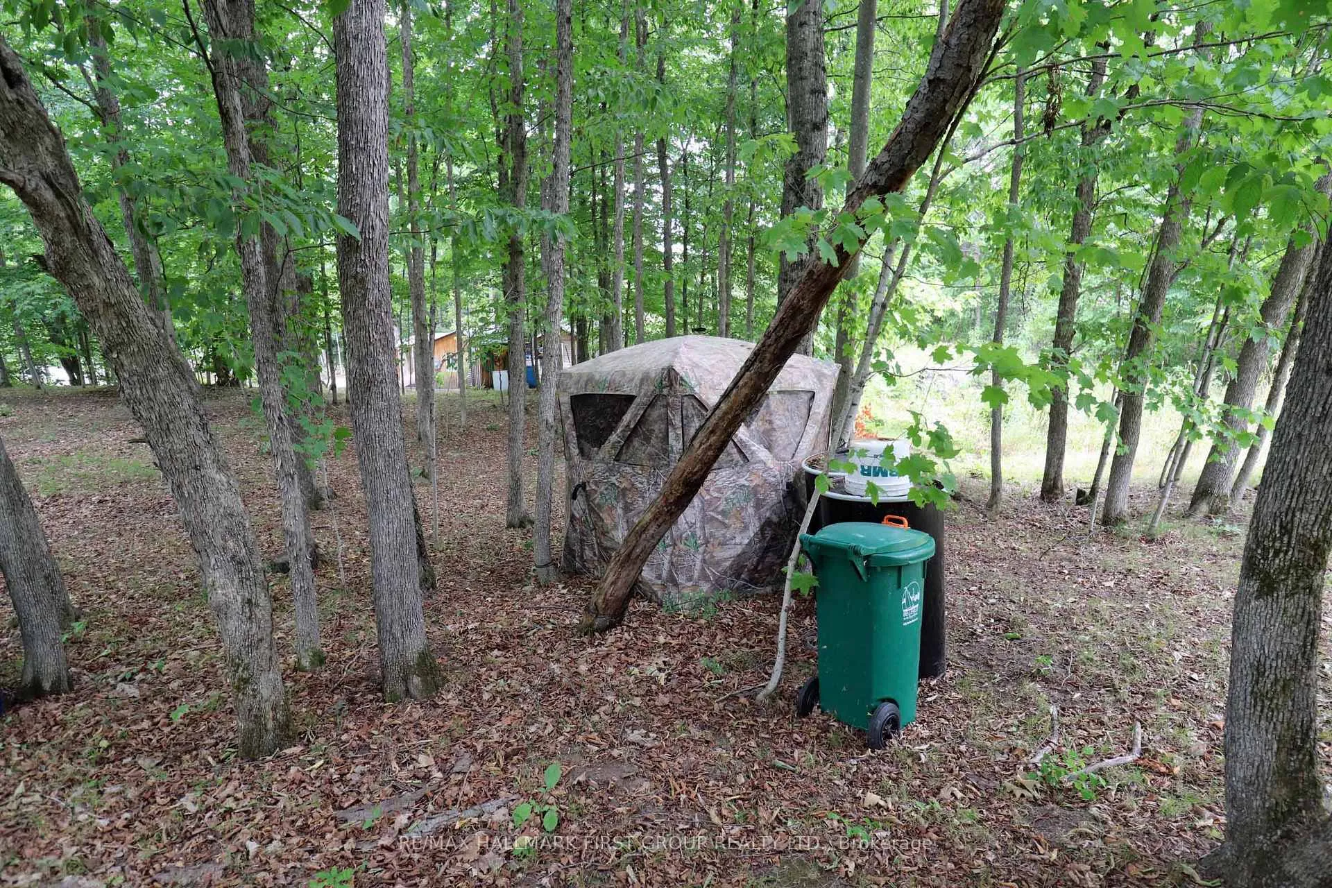 Photo 31 of 533 Black River Road N, Tweed, Elzevir (Twp) — HOMEH