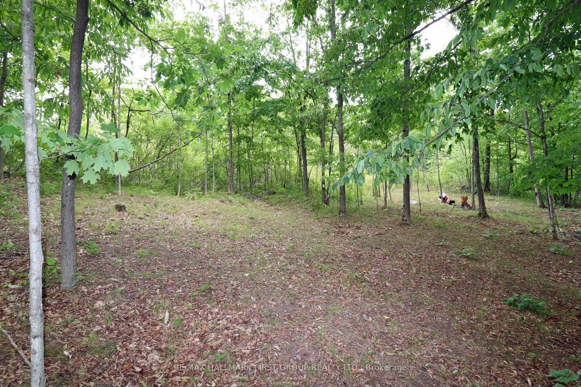 Photo 32 of 533 Black River Road N, Tweed, Elzevir (Twp) — HOMEH