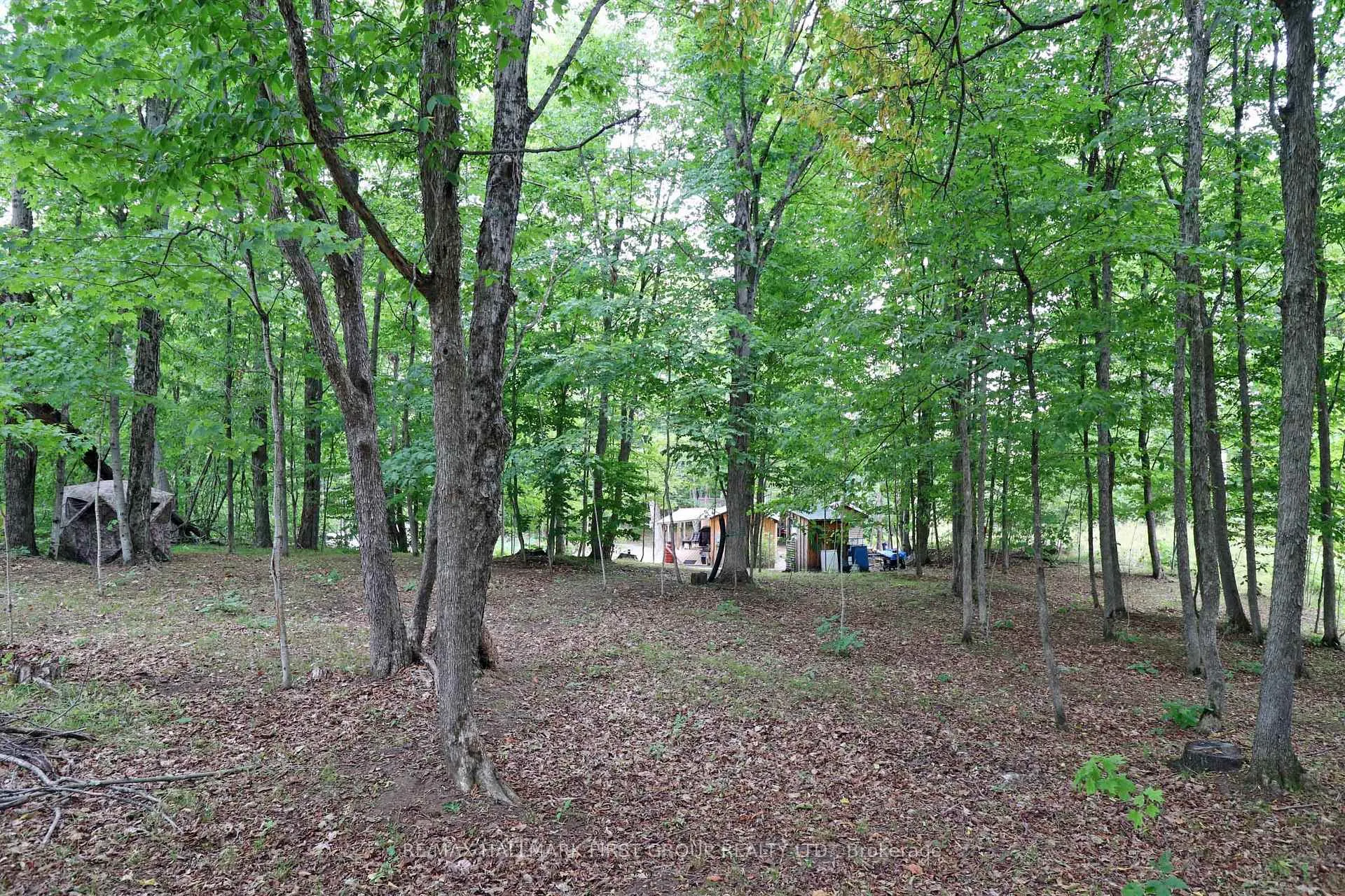 Photo 33 of 533 Black River Road N, Tweed, Elzevir (Twp) — HOMEH