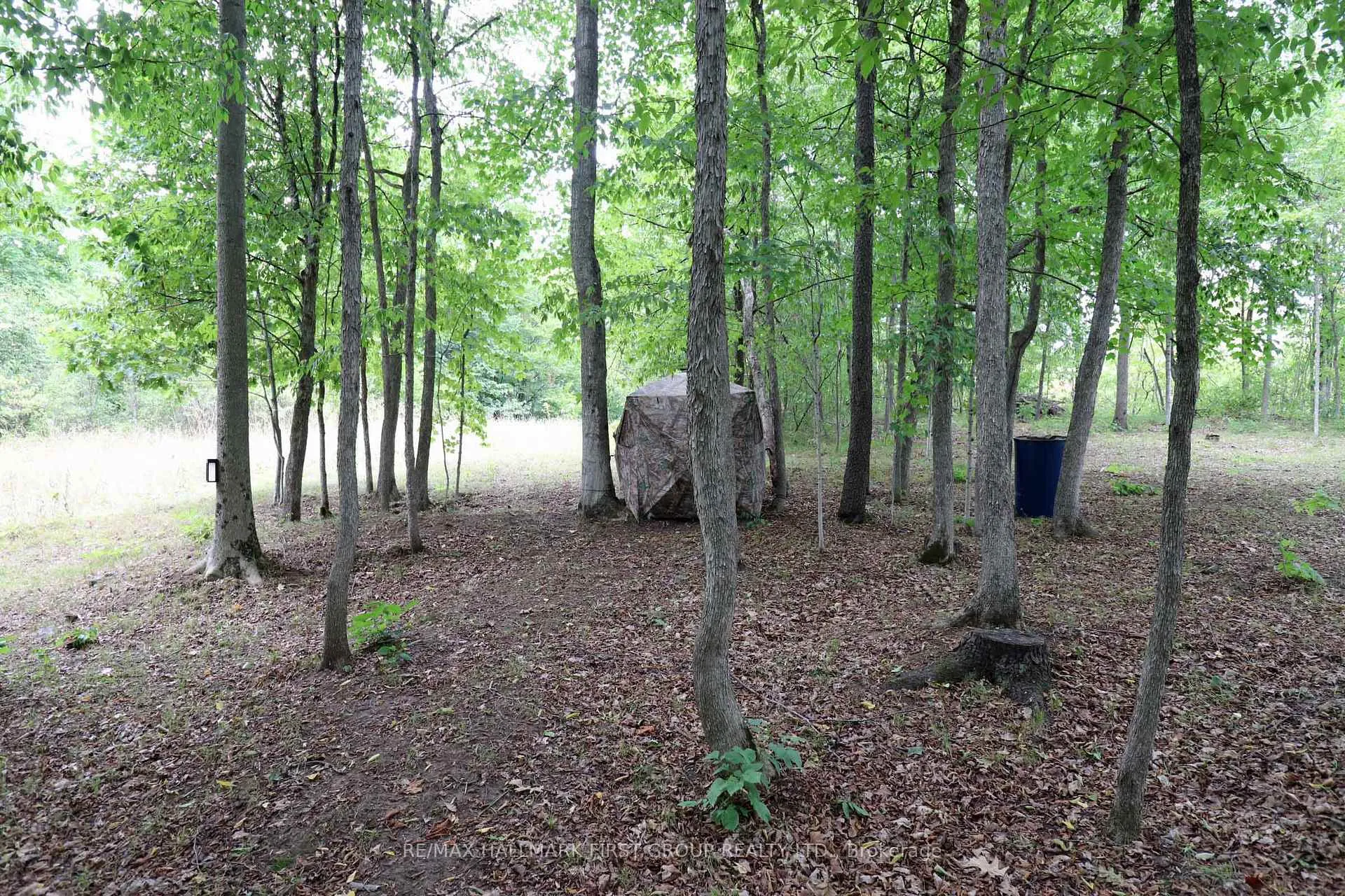 Photo 34 of 533 Black River Road N, Tweed, Elzevir (Twp) — HOMEH