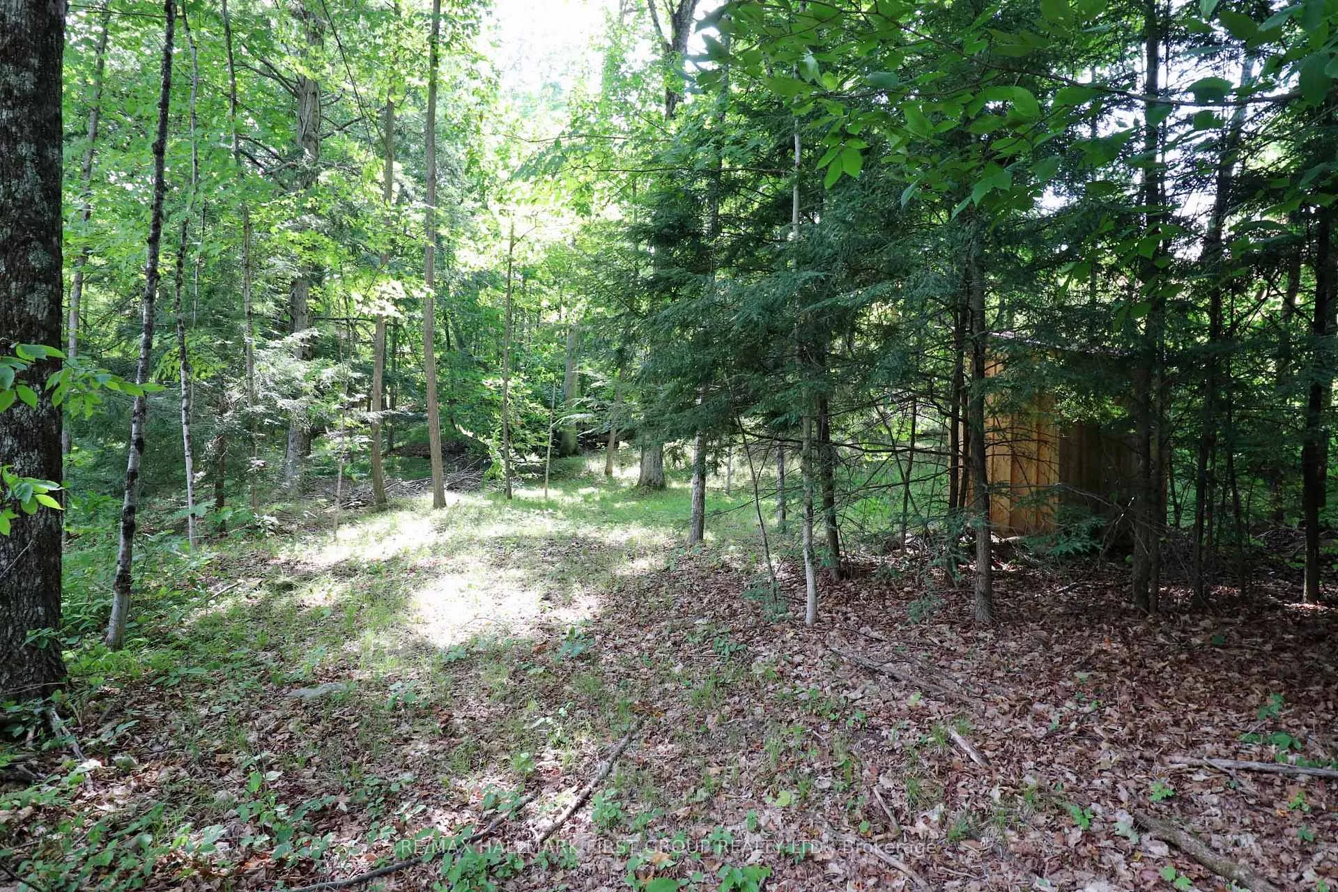 Photo 45 of 533 Black River Road N, Tweed, Elzevir (Twp) — HOMEH