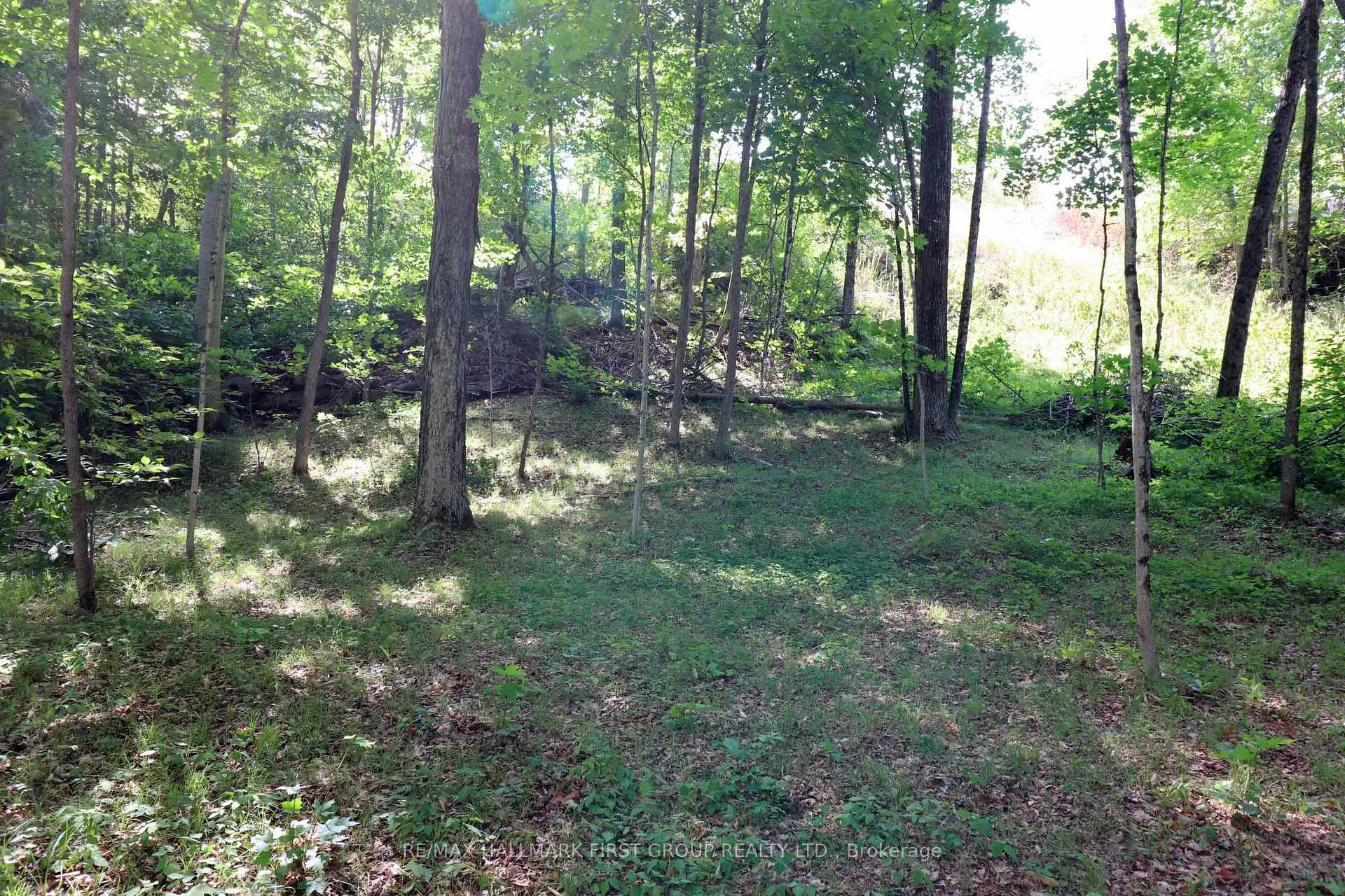 Photo 46 of 533 Black River Road N, Tweed, Elzevir (Twp) — HOMEH