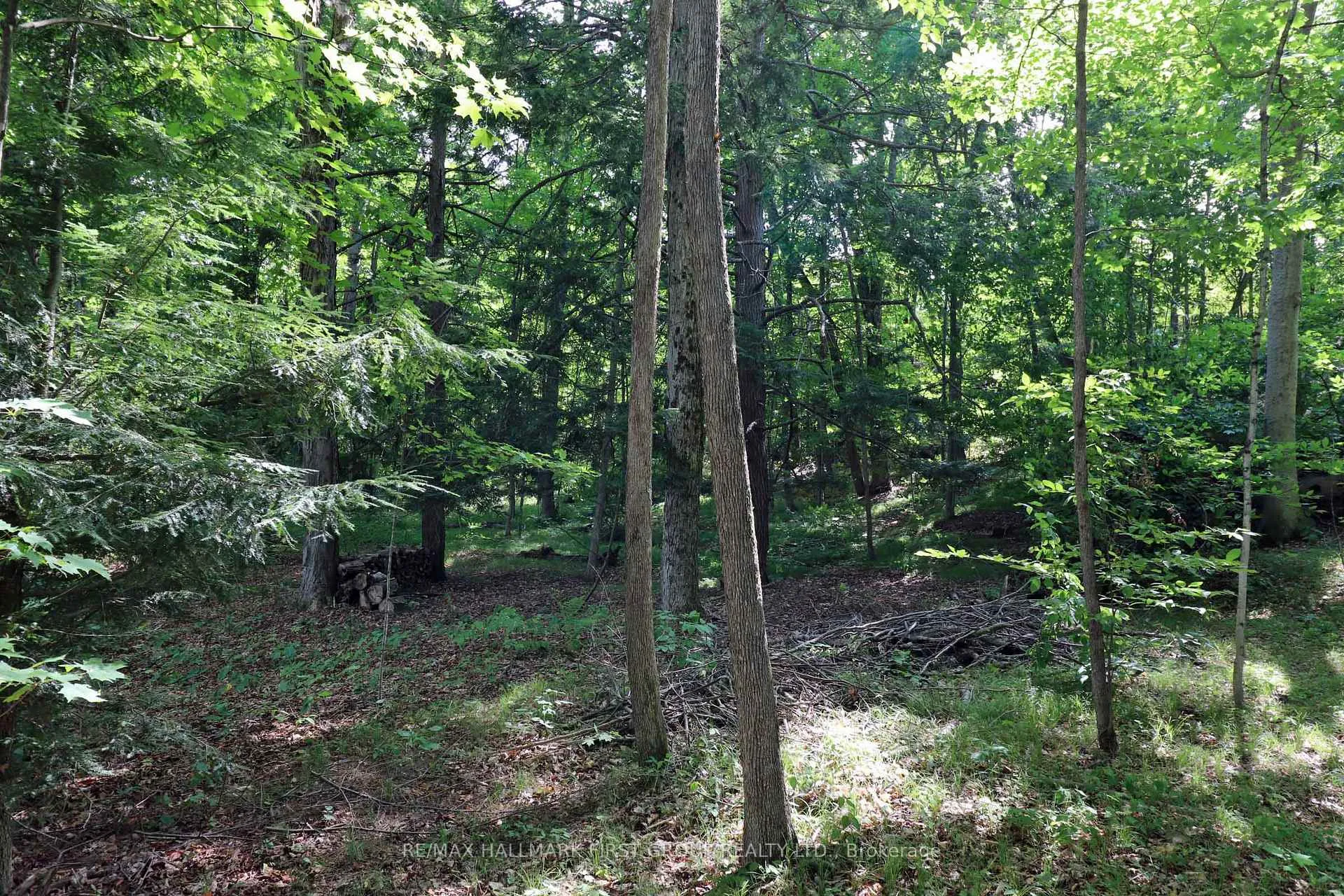 Photo 47 of 533 Black River Road N, Tweed, Elzevir (Twp) — HOMEH