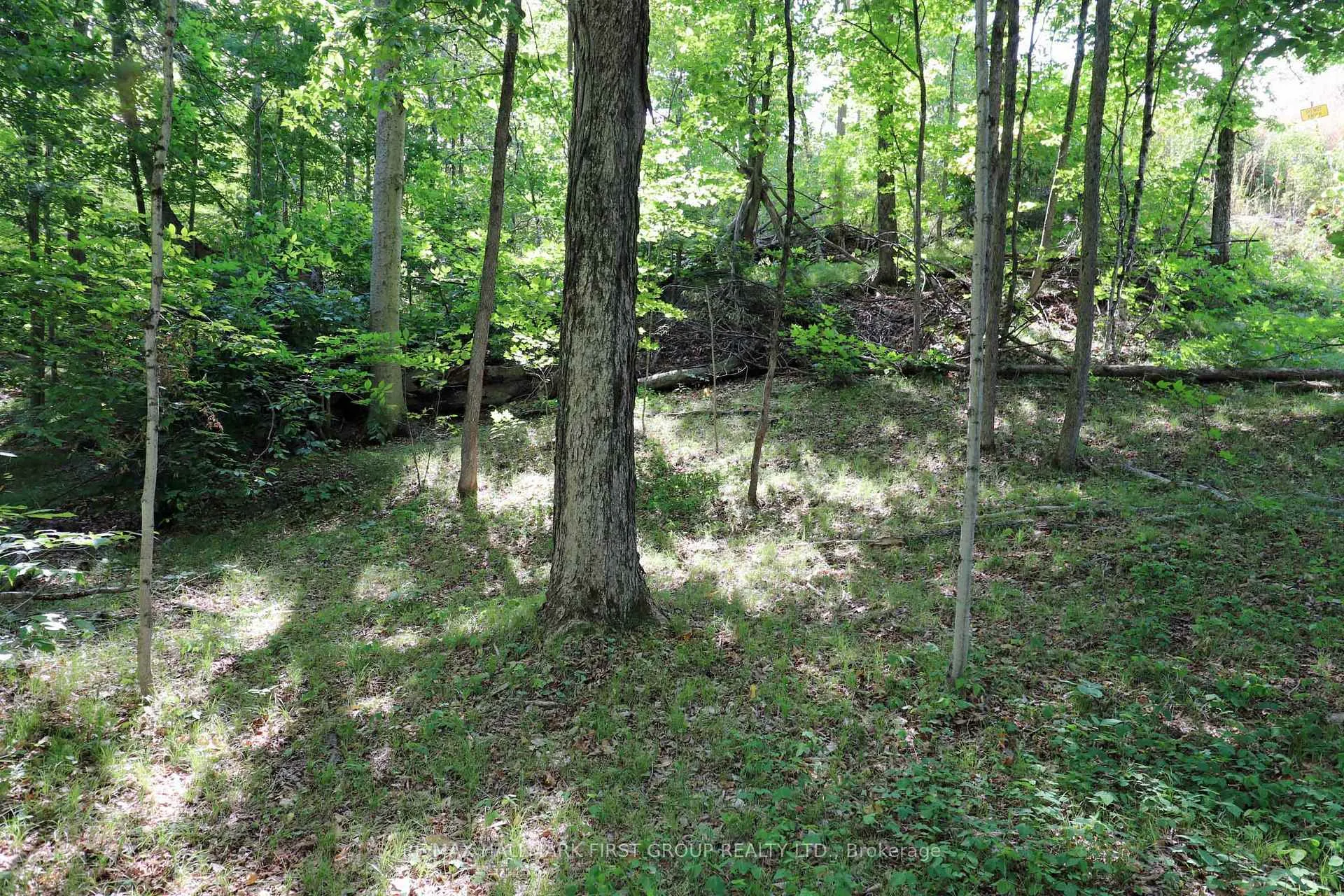 Photo 48 of 533 Black River Road N, Tweed, Elzevir (Twp) — HOMEH
