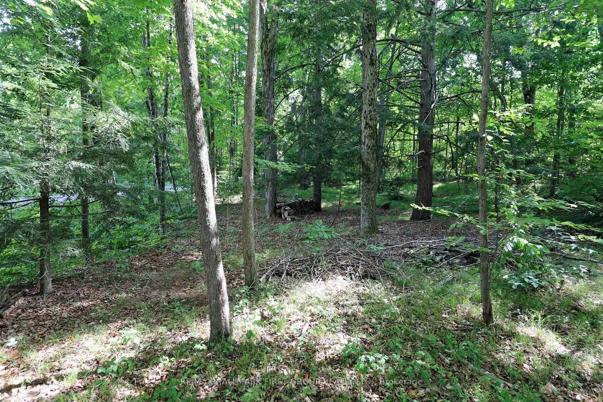 Photo 49 of 533 Black River Road N, Tweed, Elzevir (Twp) — HOMEH