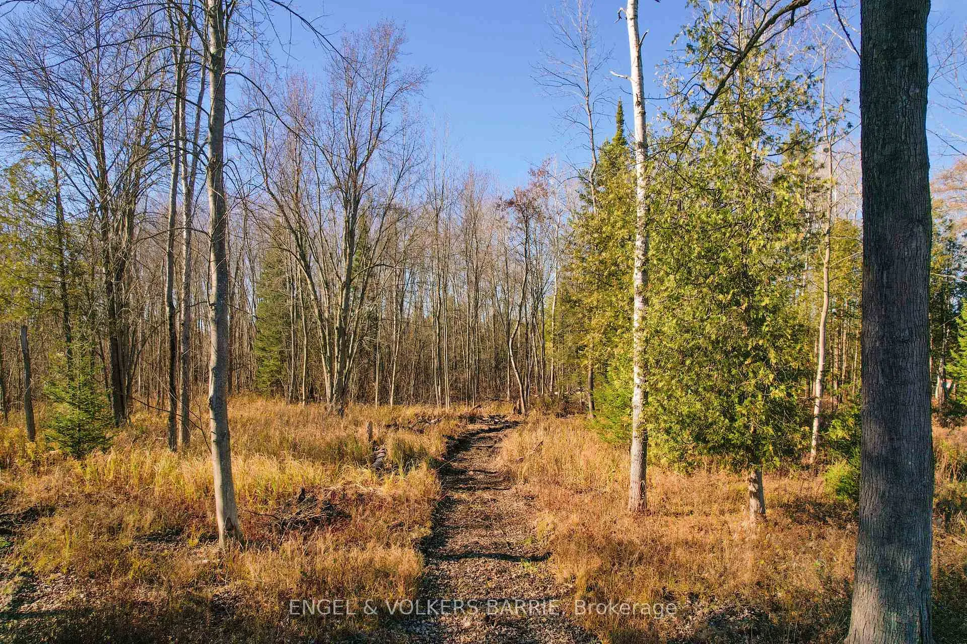 Photo 36 of 6605 County Road 21, Essa, Rural Essa — HOMEH