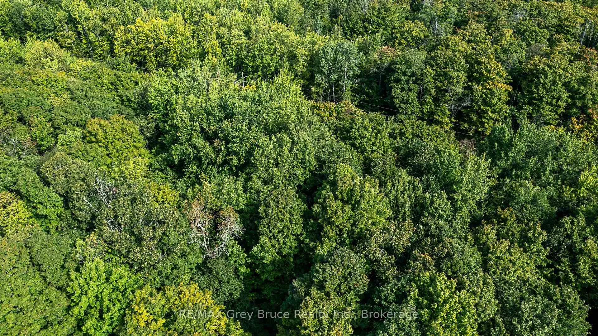Photo 42 of 103777 Grey Road 18, Meaford — HOMEH