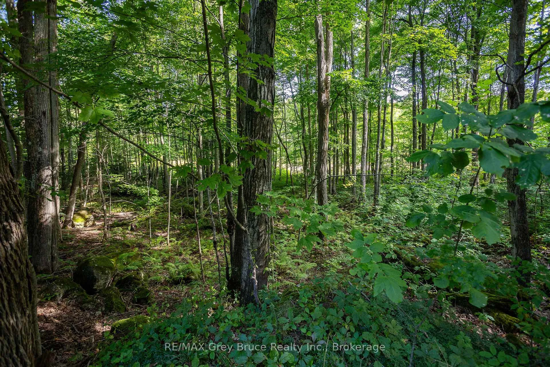 Photo 43 of 103777 Grey Road 18, Meaford — HOMEH