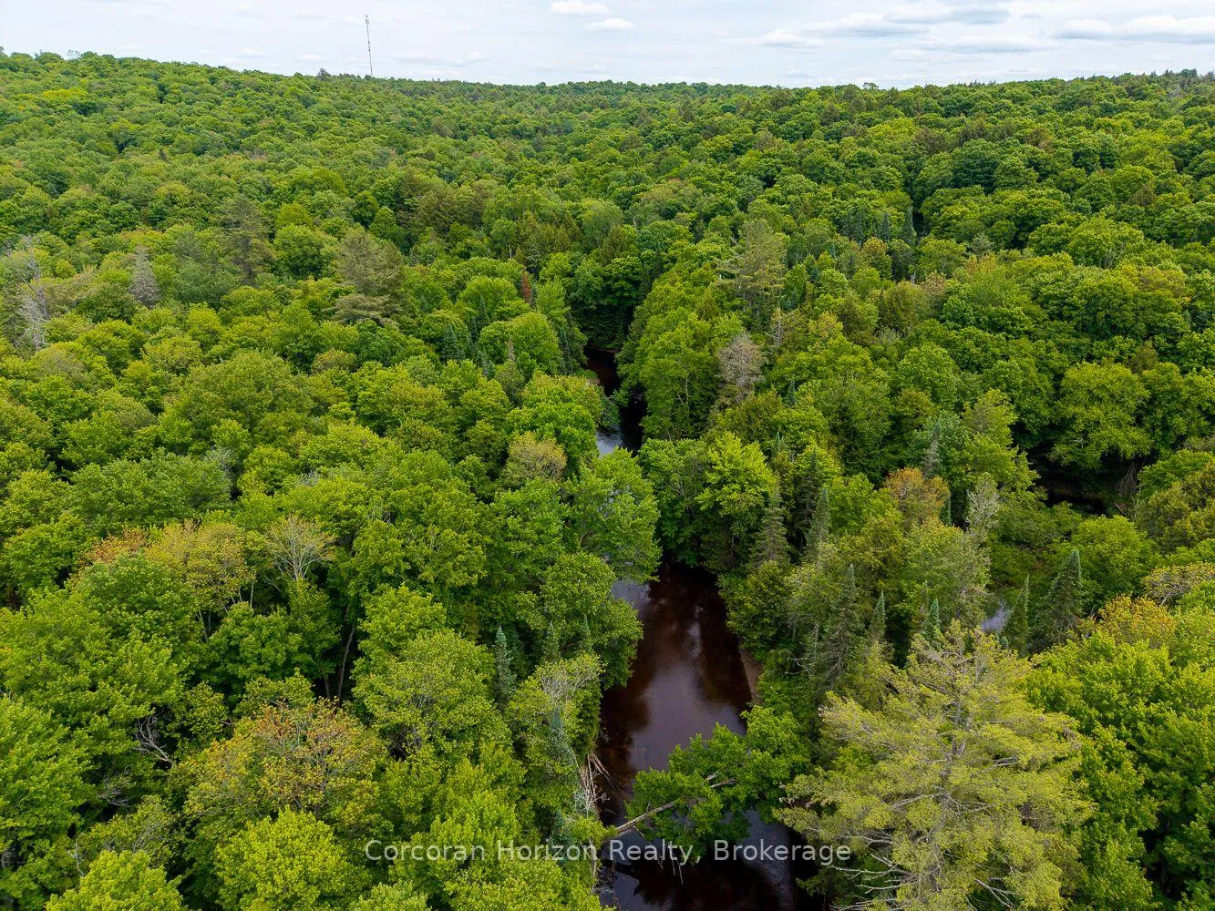 Photo 14 of Part 4 118 Highway E, Bracebridge, Oakley — HOMEH
